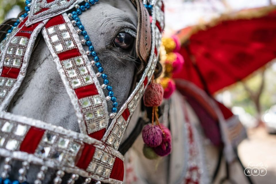 Maharashtrian-Wedding-at-Aurangabad-119-960x640.jpeg