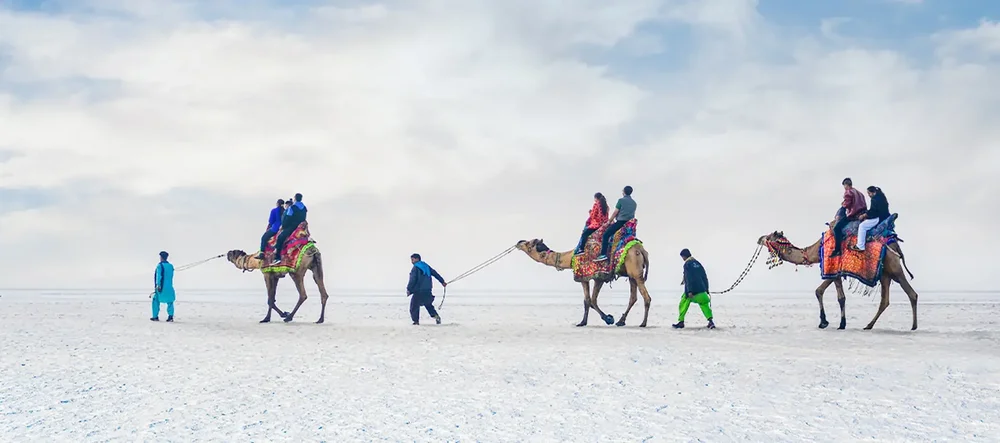 White-rann-camel-ride-1.webp