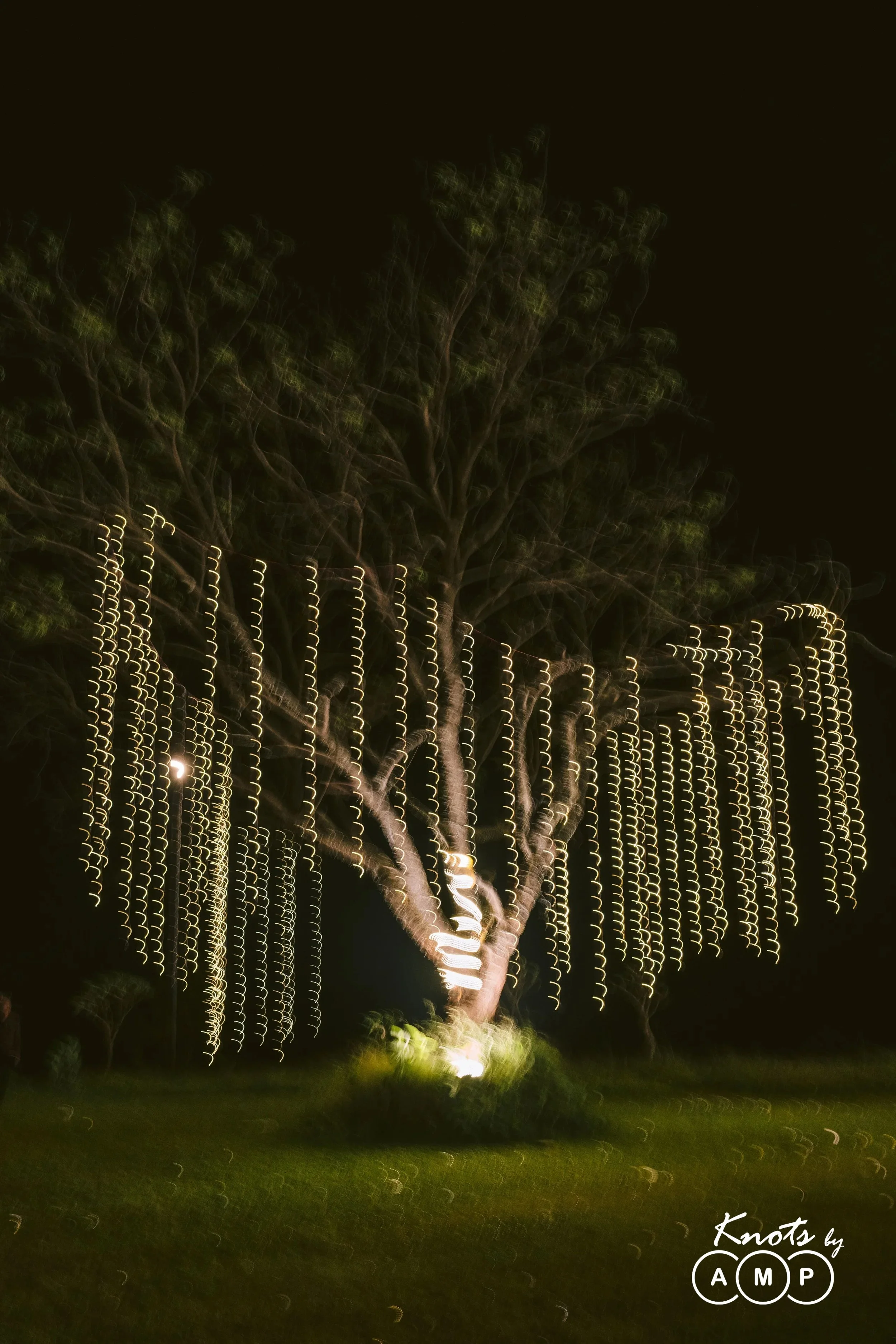 PPP00138.jpg