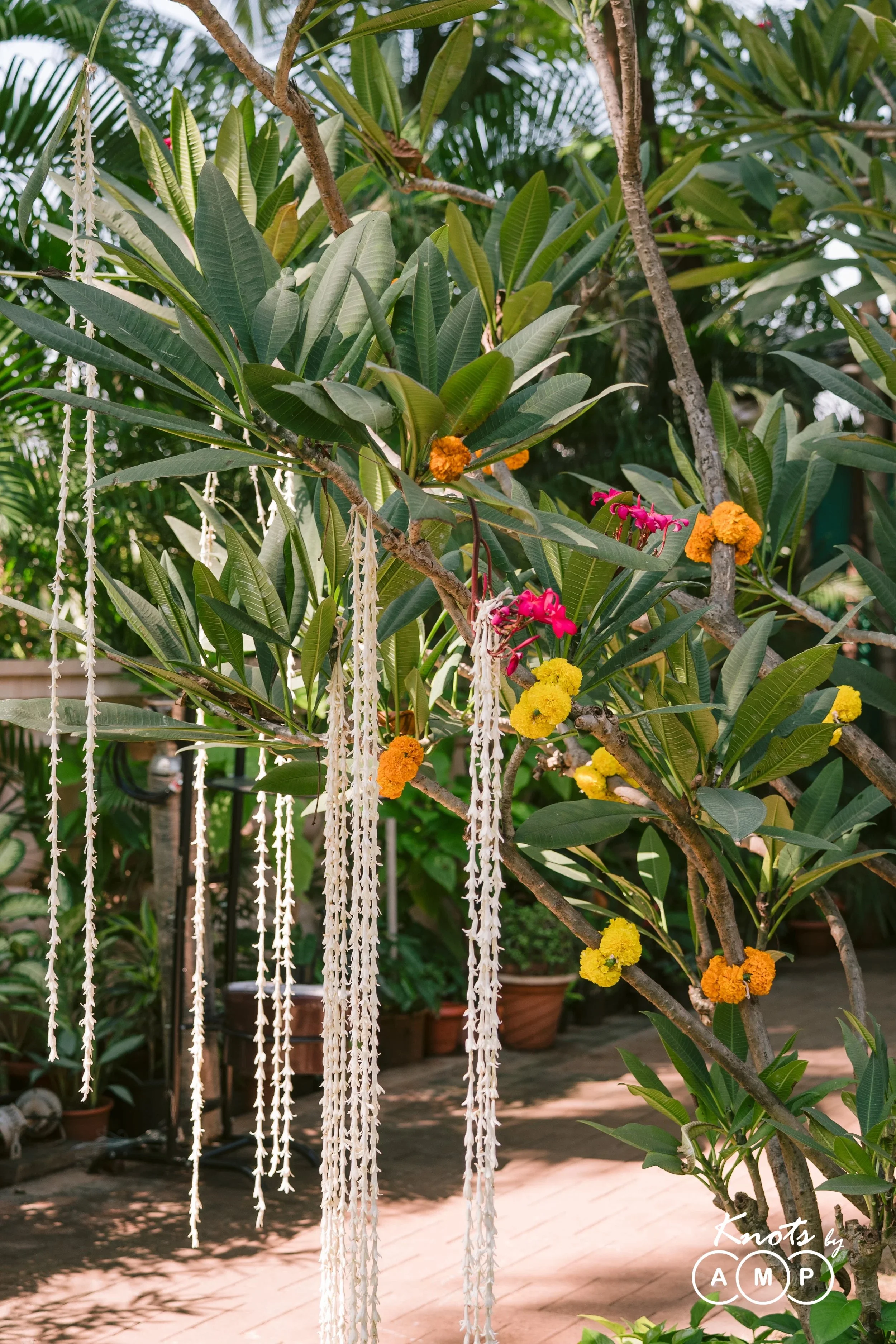 DSC_3415.jpg