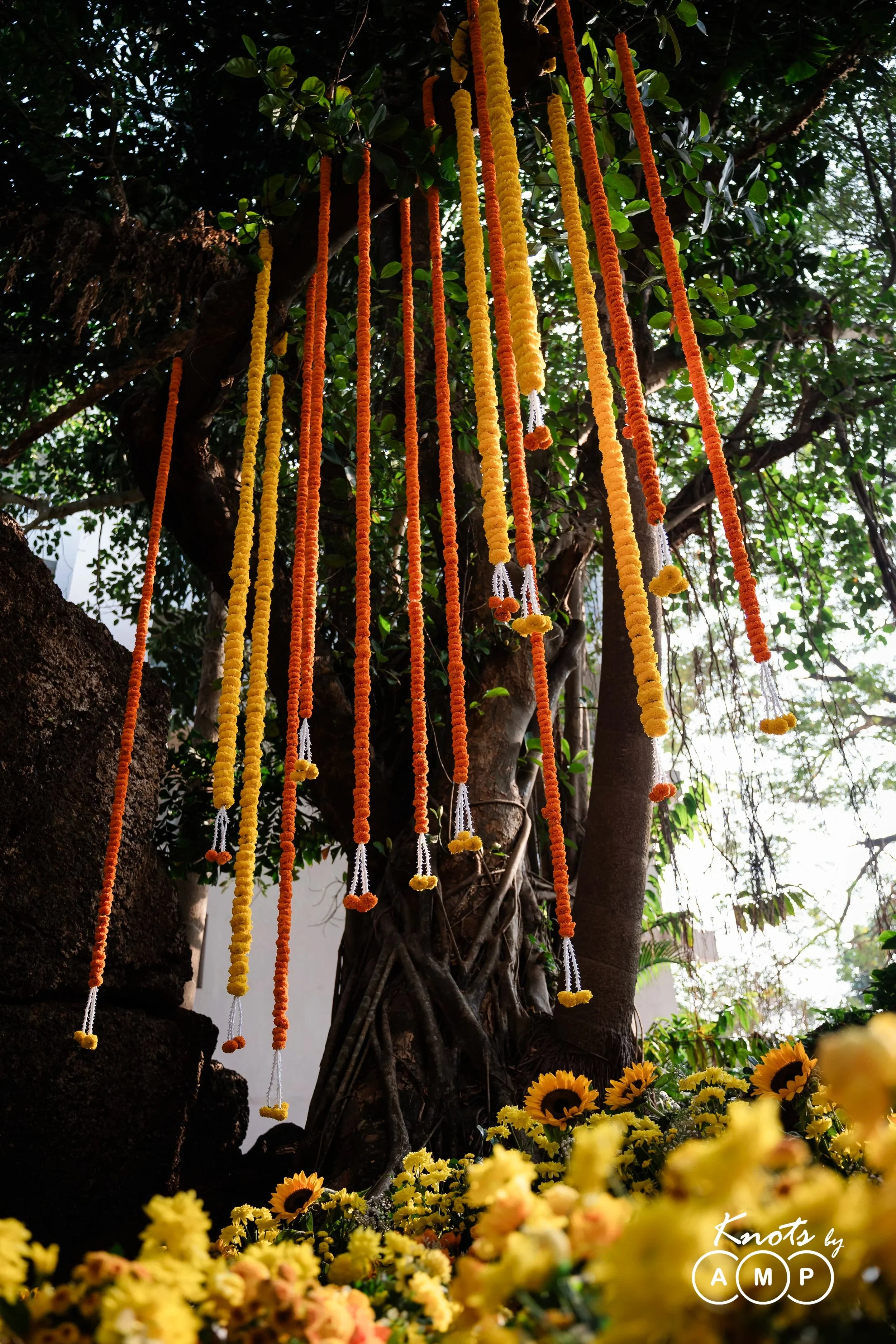 DSC_5444.jpg