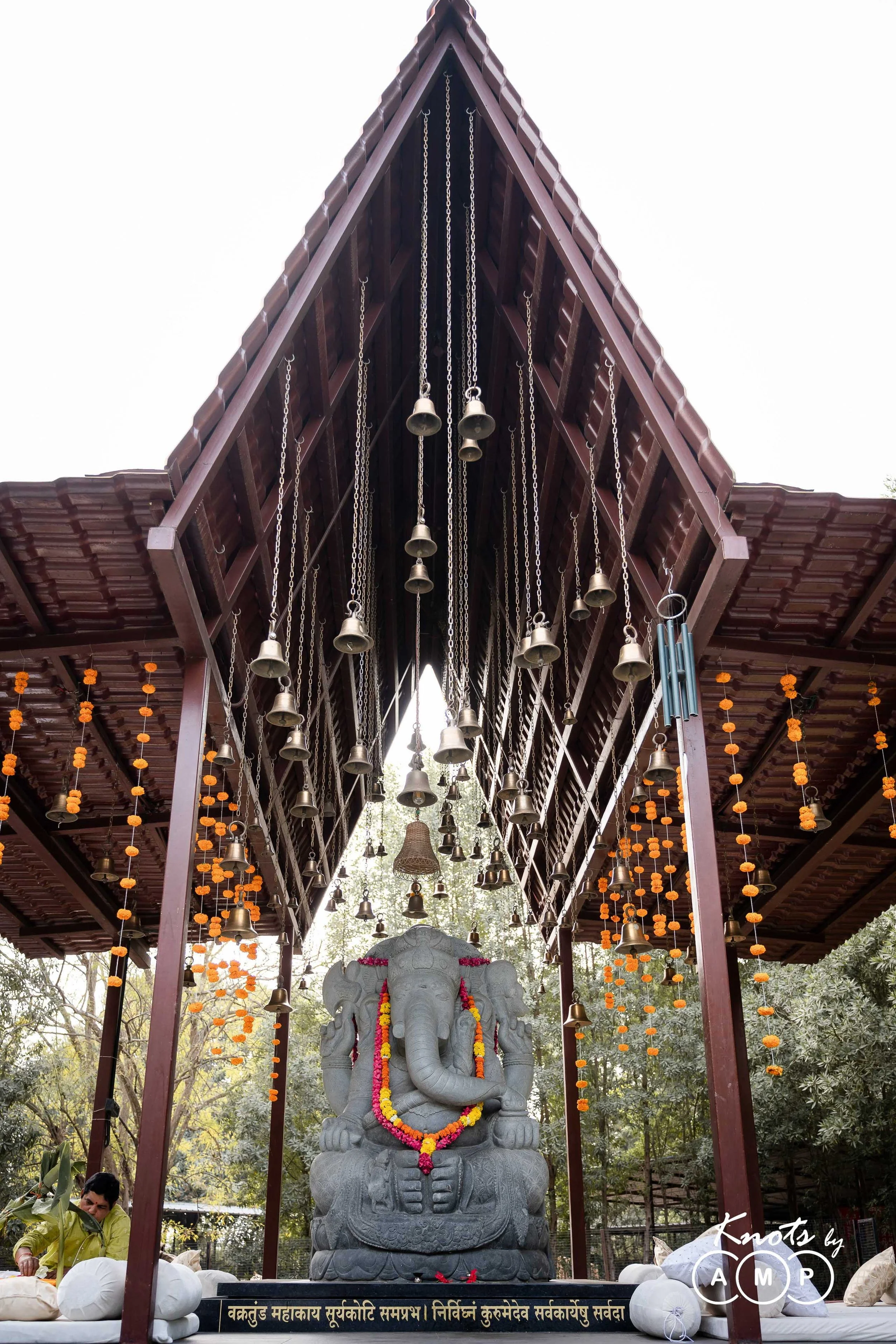 DSC_7345.jpg