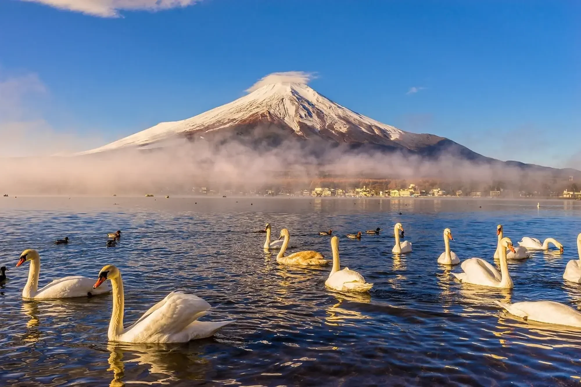 5_mt_fuji_hd.webp