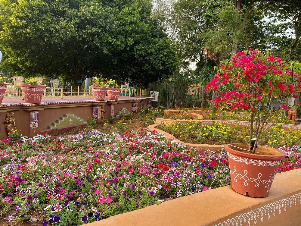 multi-coloured-flowers.jpg