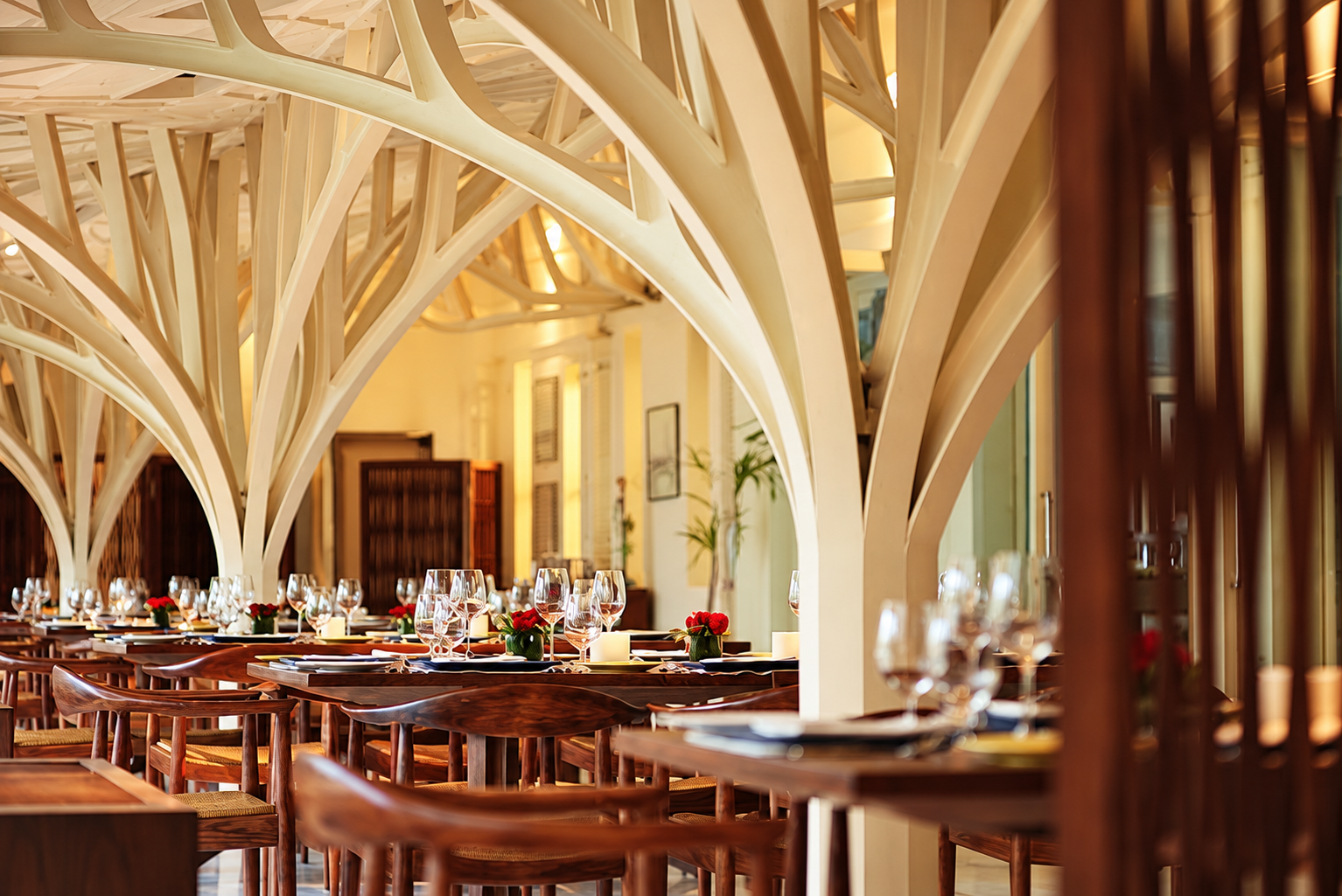 Tree-like white beams over dining tables at Tote on the Turf