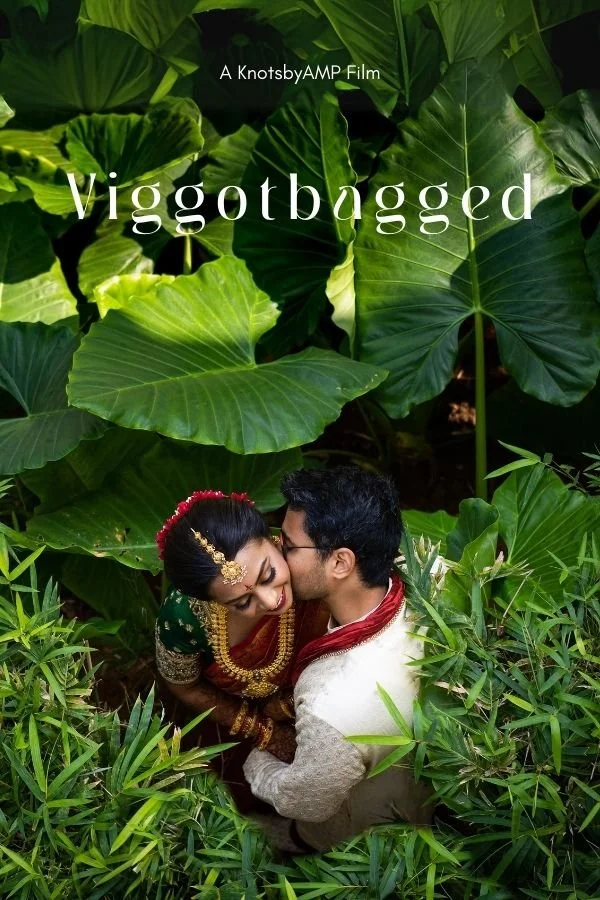 Viggotbagged.jpg