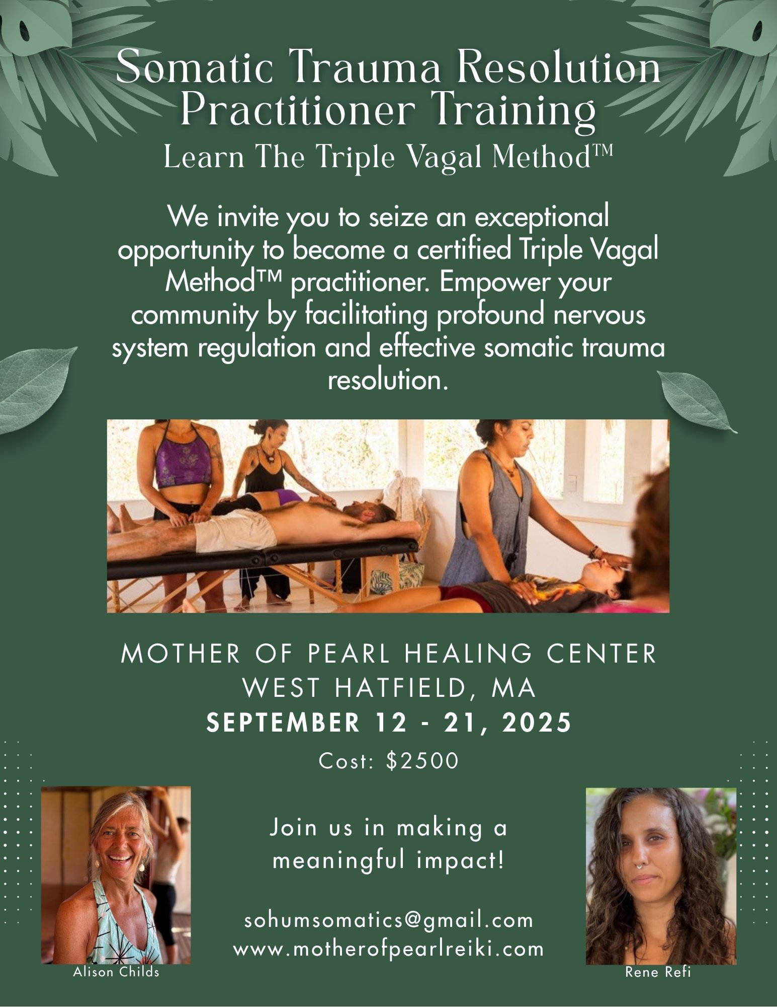Somatic Trauma Resolution Practitioner Training - The Triple Vagal Method™