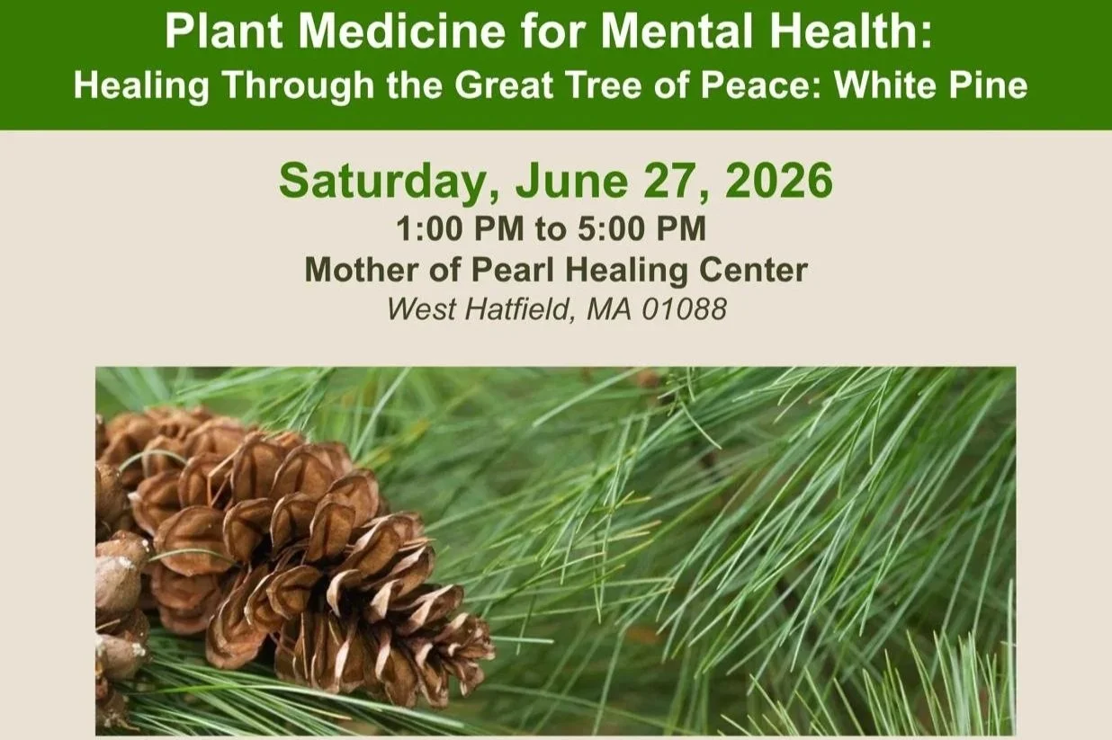 Plant Medicine for Mental Health: White Pine The Great Tree of Peace and Decolonization