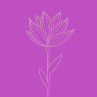 Favicon Alison copy.png