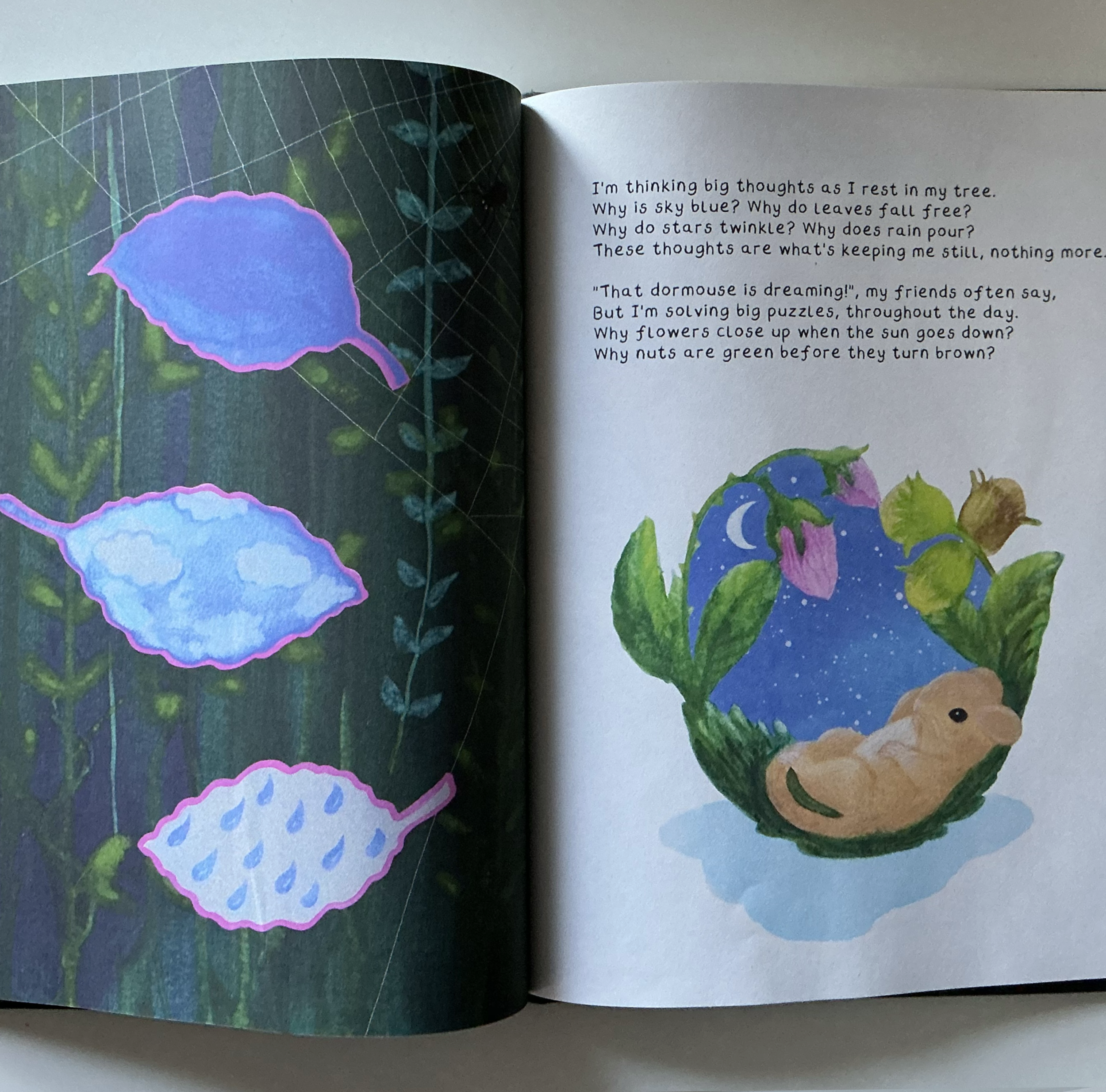 VBD HARDBACK WEB PR.png
