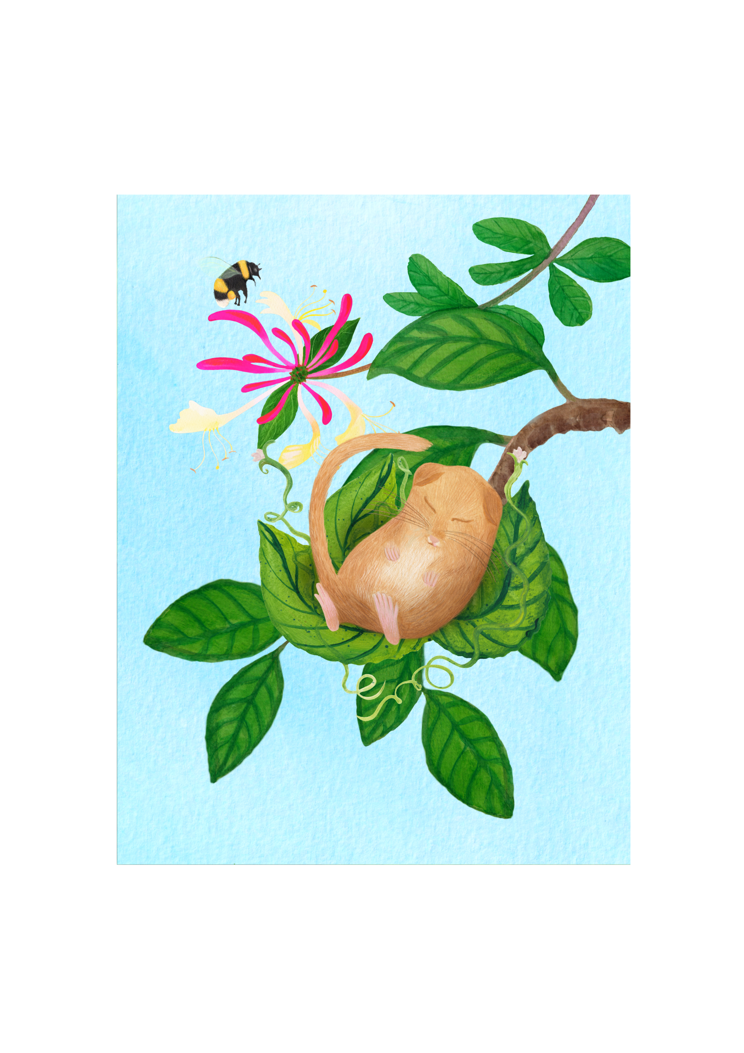 Little G Asleep In His Tree Art Print