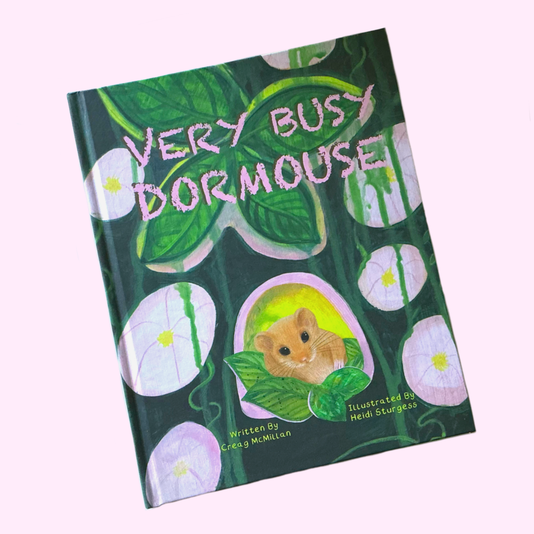 Very Busy Dormouse Picture Book