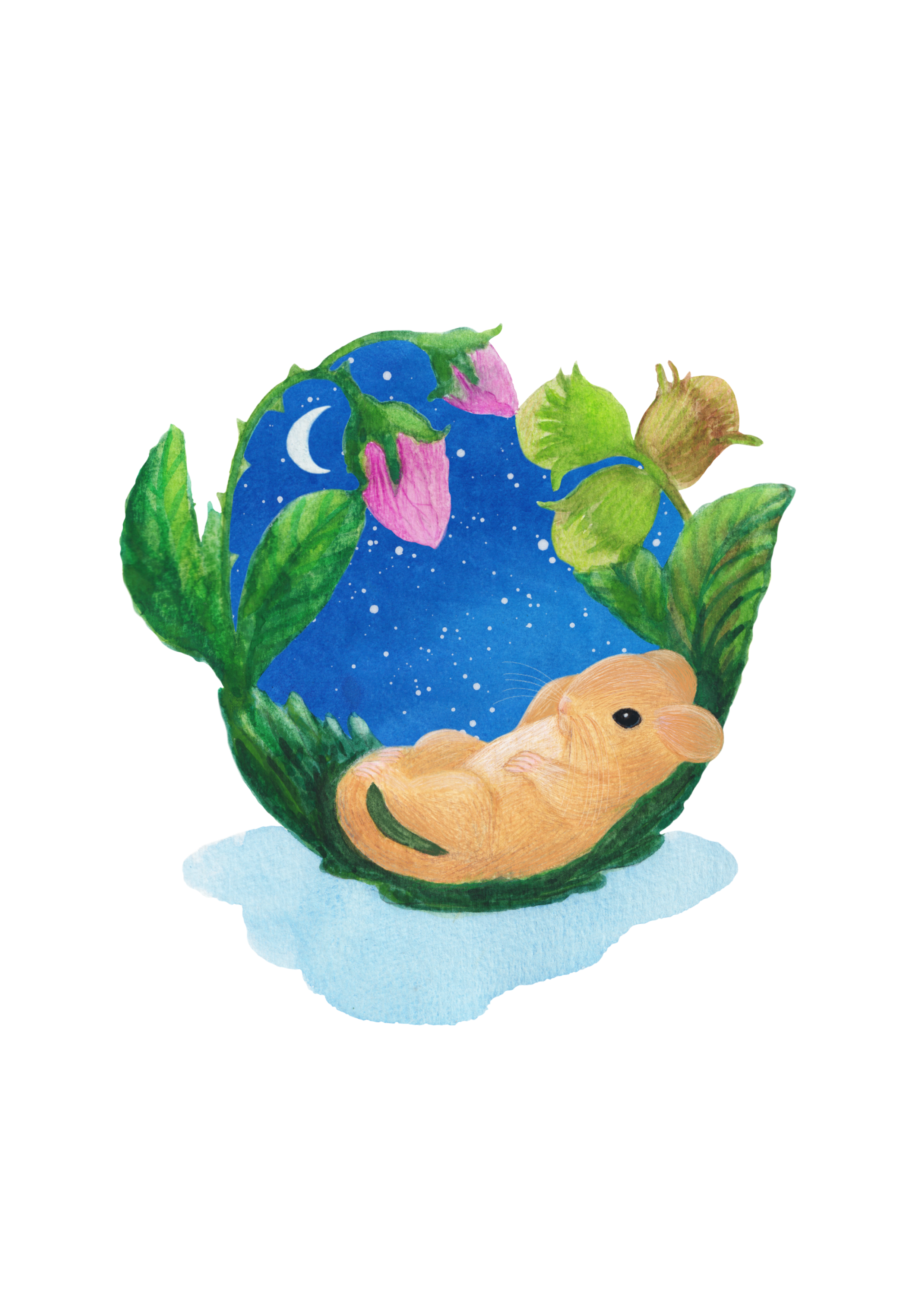 Little G Under The Stars Art Print