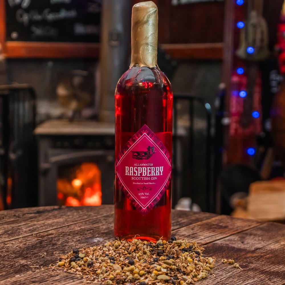 Raspberry-and-Bramble-Gin.jpg