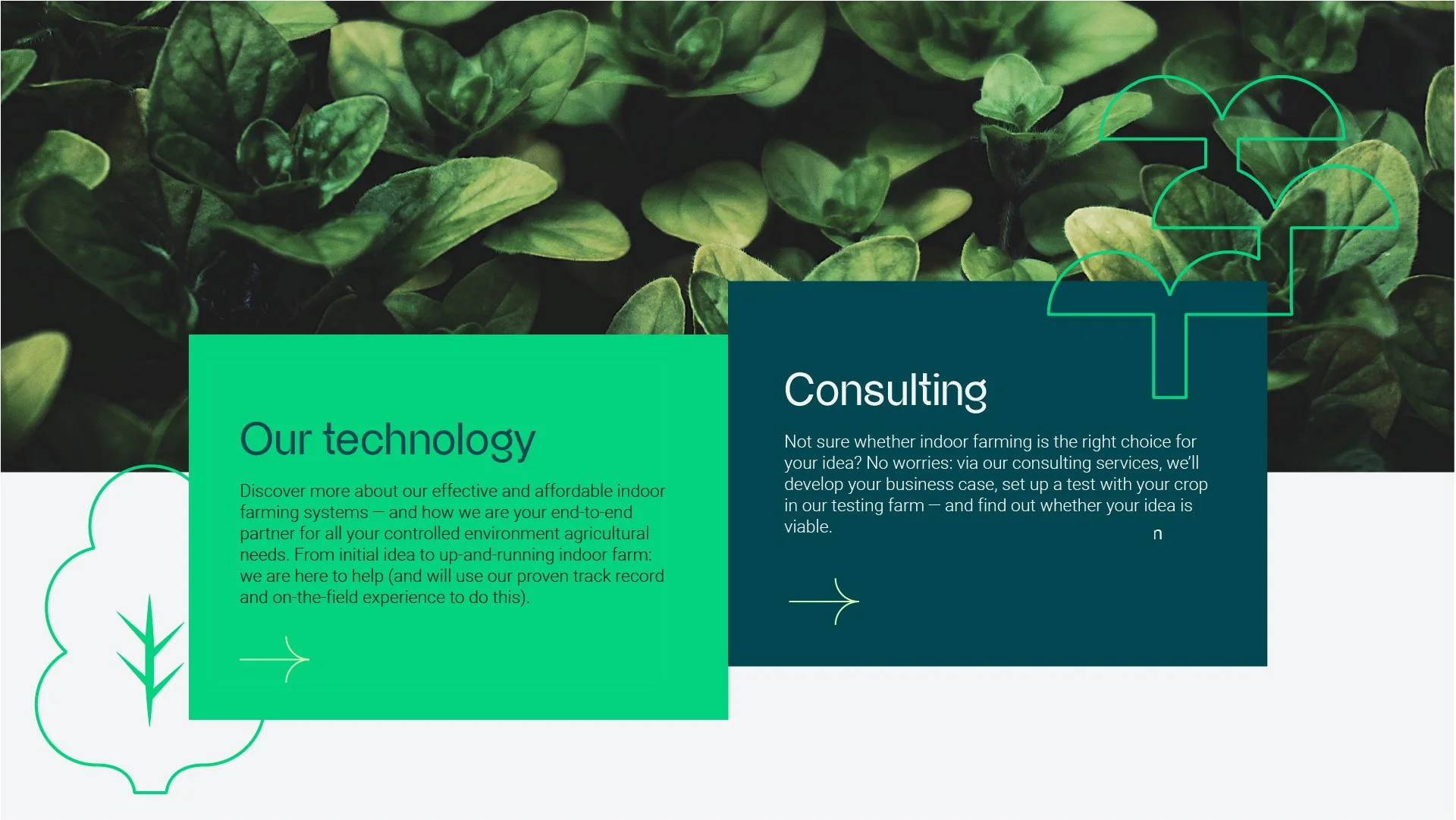 Brochure met groene bladeren op achtergrond, secties over technologie en consulting, met grafische elementen en tekst in groene en blauwe kleuren.