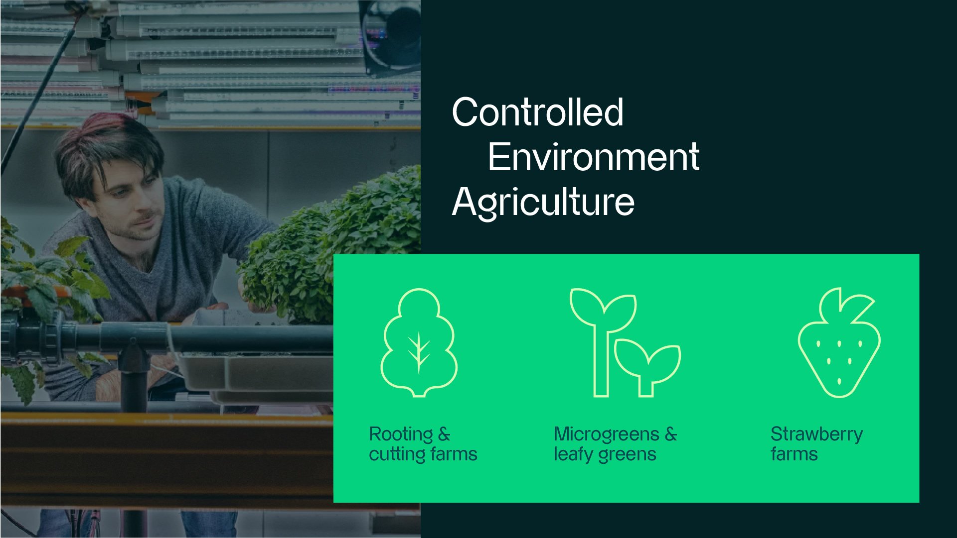 Man onderzoekt planten in een gecontroleerde landbouwomgeving met text overlays over gecontroleerde landbouwtechnologieën, inclusief wortel- en snijboerderij, microgreens en bladgroenten, en aardbeienboerderijen.