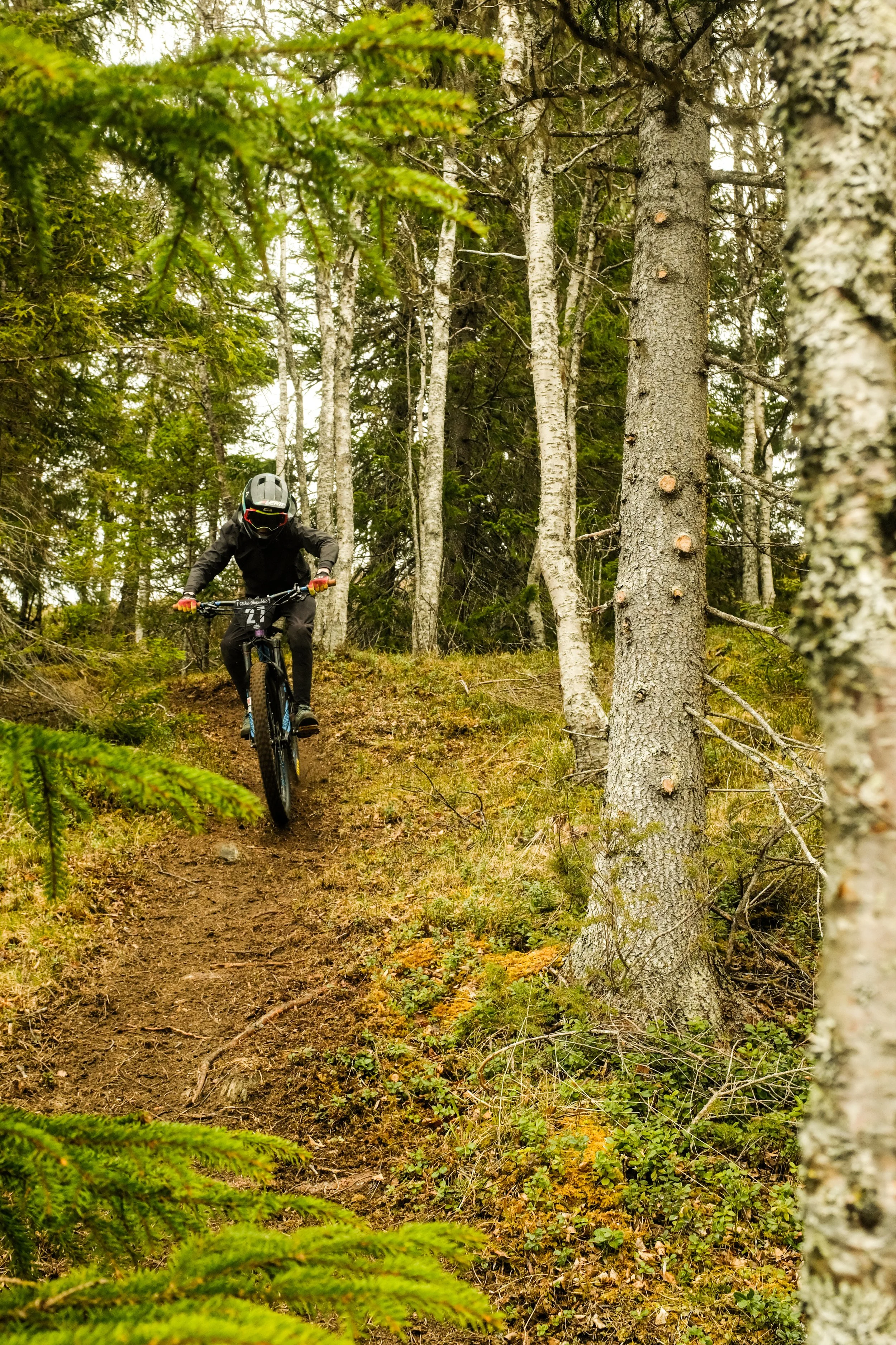 Edhsbackentavling-17.jpg