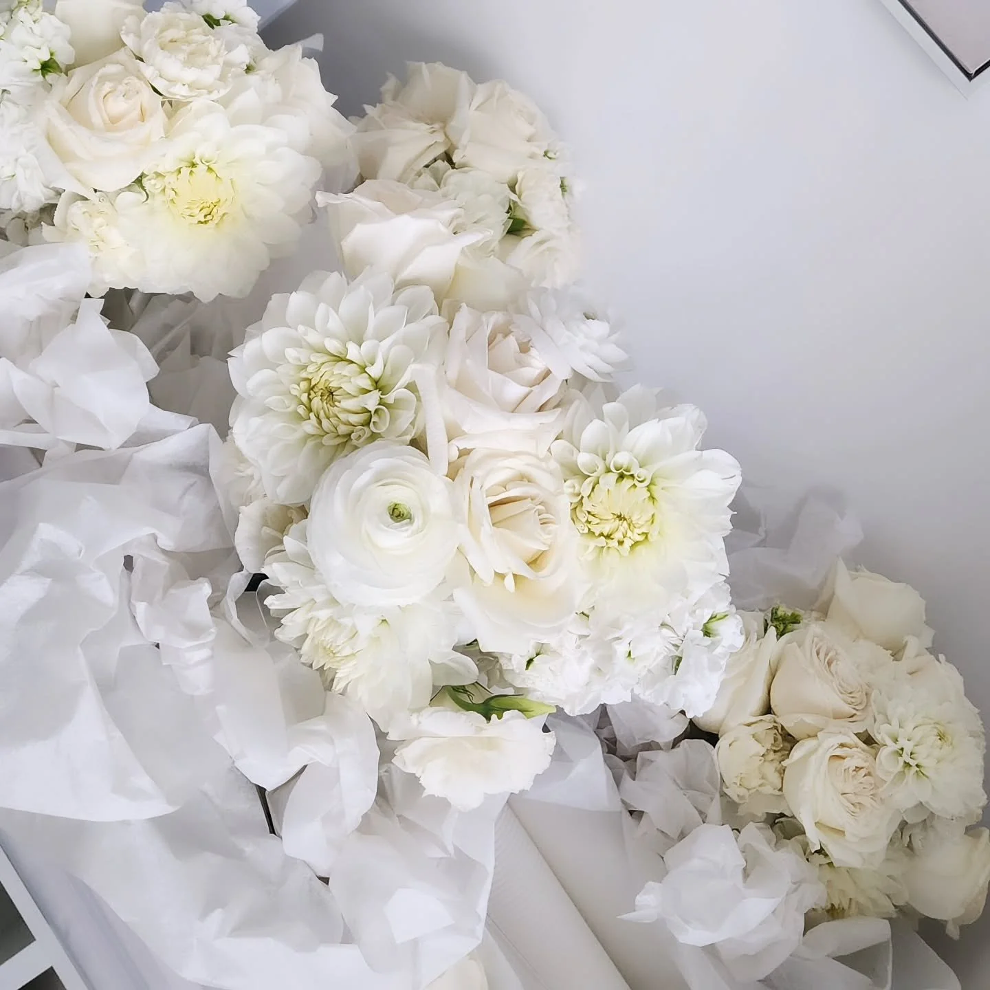 Ding dong!  Wedding bouquet delivery 🩷

#brisbanewedding #whiteweddingflowers #weddingbouquets #brisbanebrides #weddingflorist