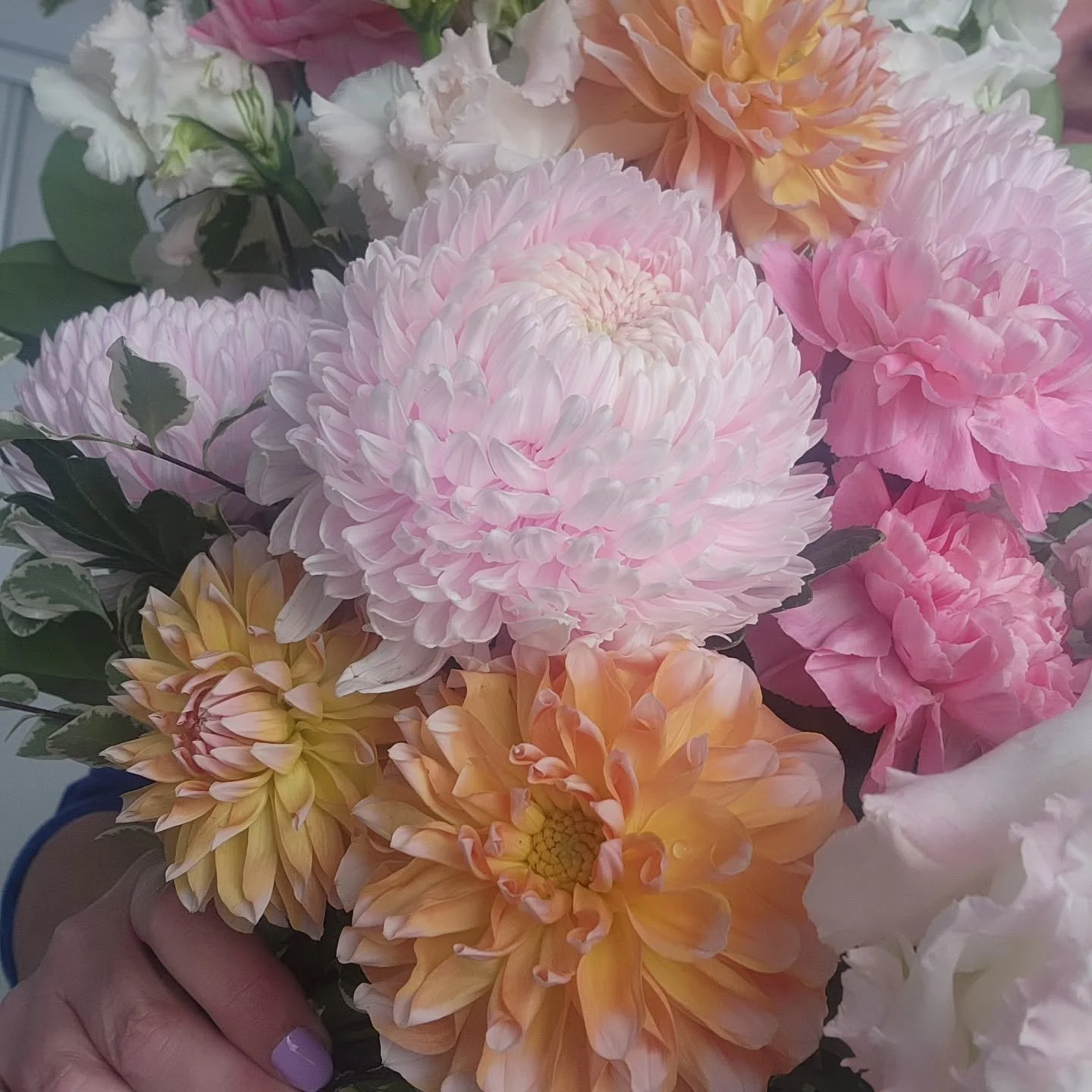 Some prettiness to brighten up your Tuesday 🩷

Special delivery that went out today for one of my regulars.

#brisbaneflowers #weddingflorist #loganweddingflorist #flowerdelivery #freshflowersbrisbane