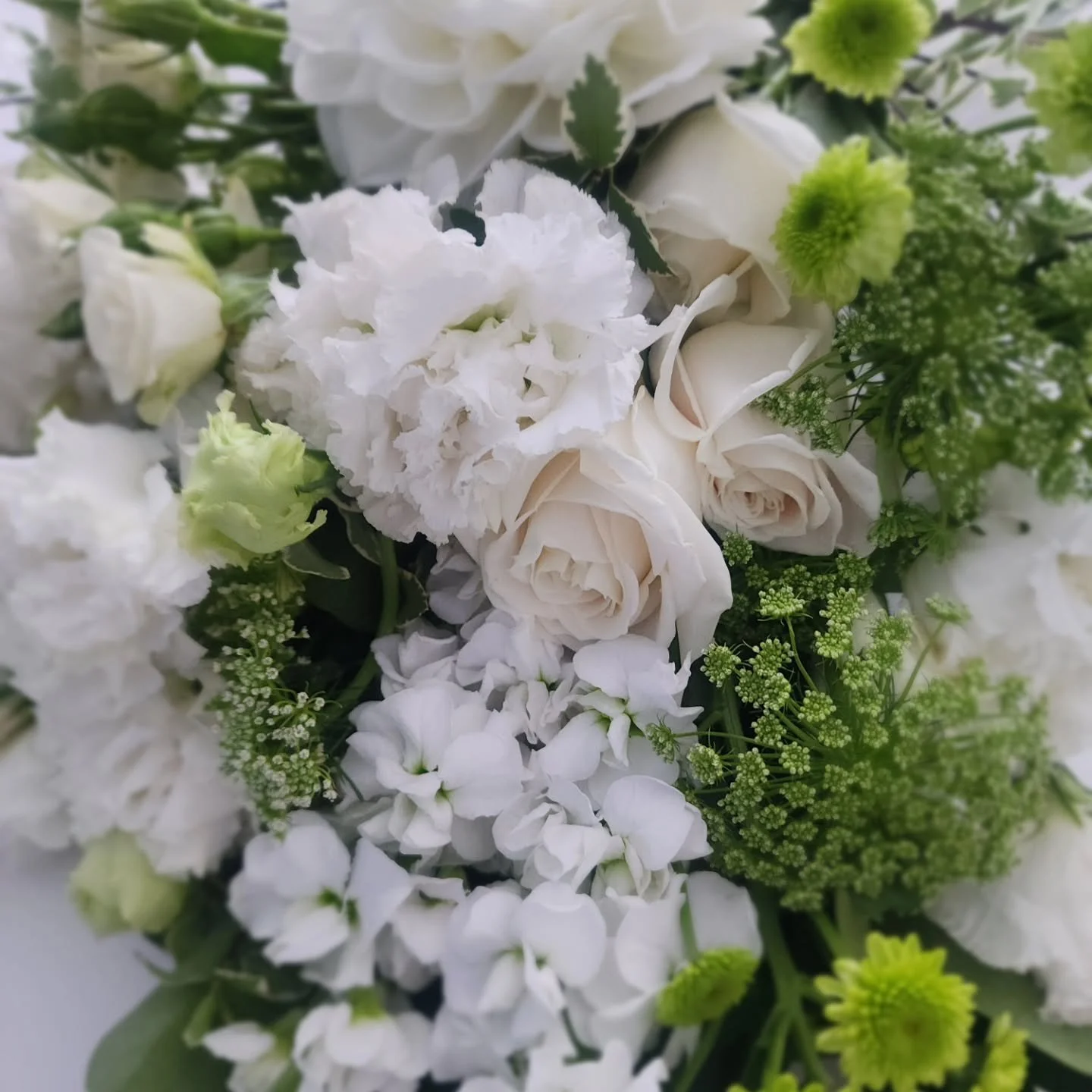 Thank you bouquet, but make it white and green.

Challenge accepted 🩷

#brisbanebrides #weddingflorist #brisbaneflowers #freshflowersbrisbane #whitebouquet