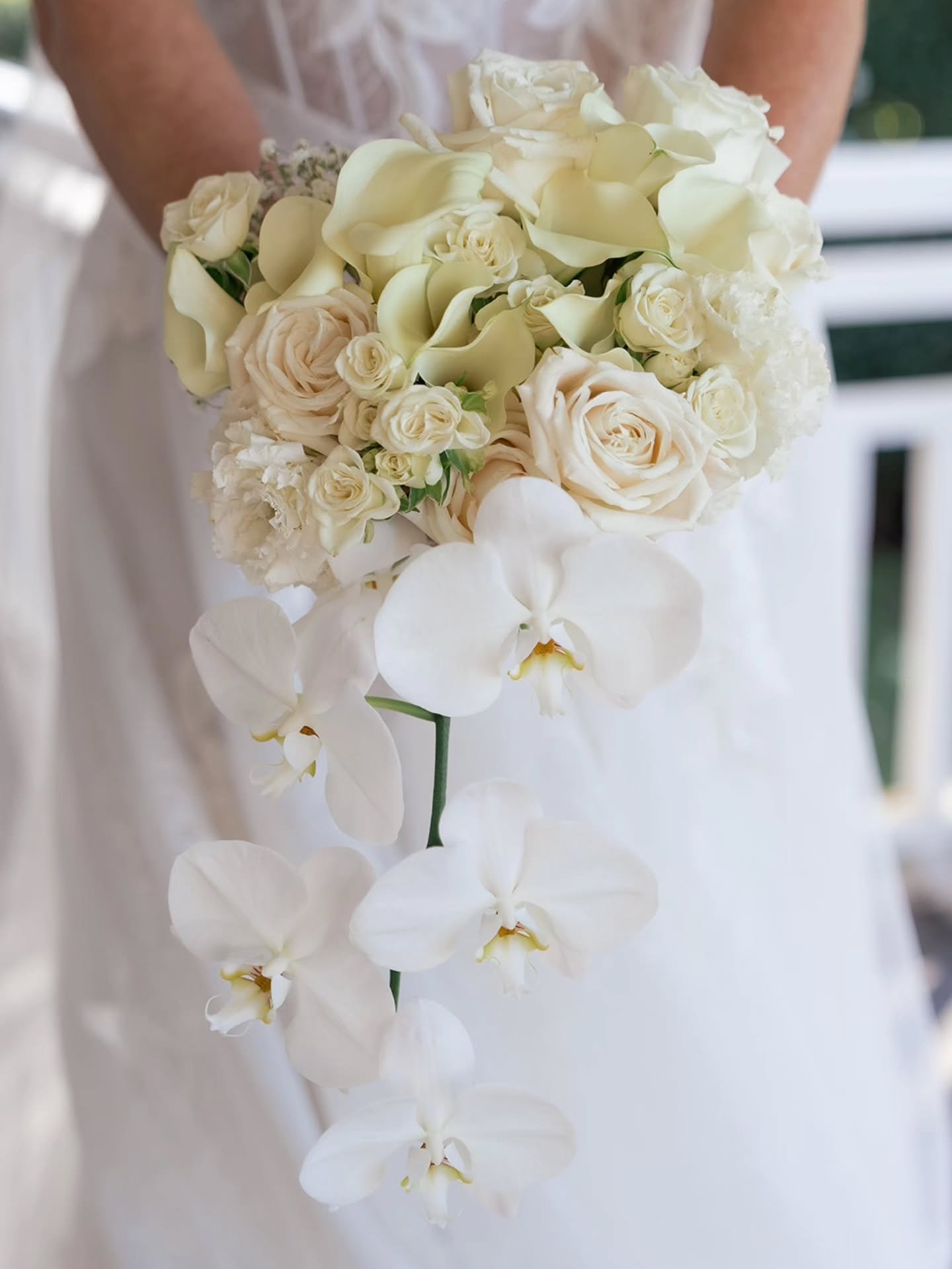 Save this for your wedding inspo 🩷

Bouquet from June, in love x

Photo credit @figtreepictures 

#weddinginspiration #whiteweddingbouquet #weddingflorist #brisbanebrides #whiteweddingflowers