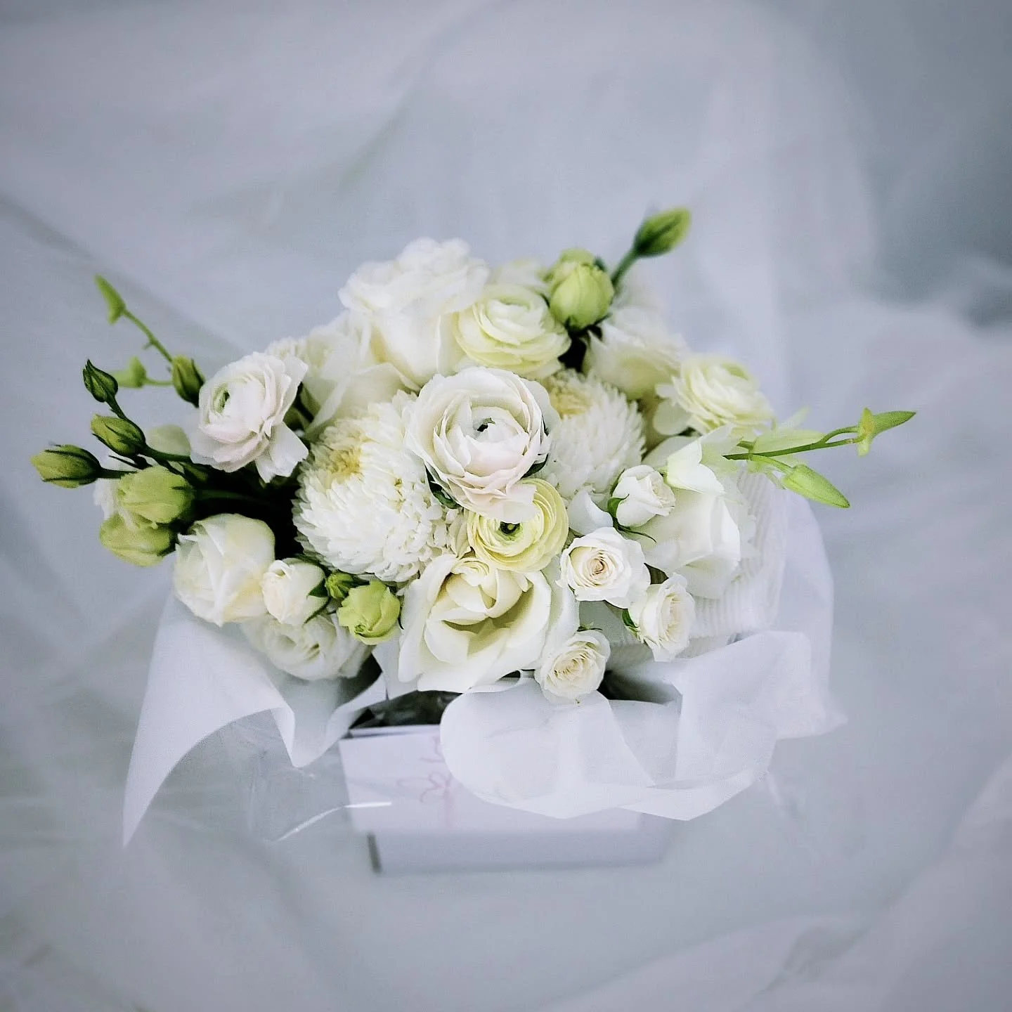 White wedding flowers never go out of style 🩷

#whiteweddingflowers #weddingflowersbrisbane #bridalbouquet #brisbanebrides #weddinginspiration
