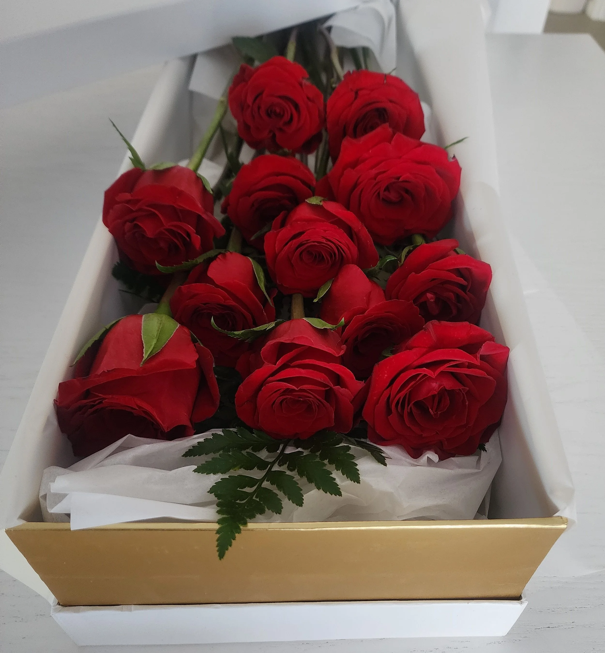 One_Dozen_Red_Roses_Near_Me.jpg