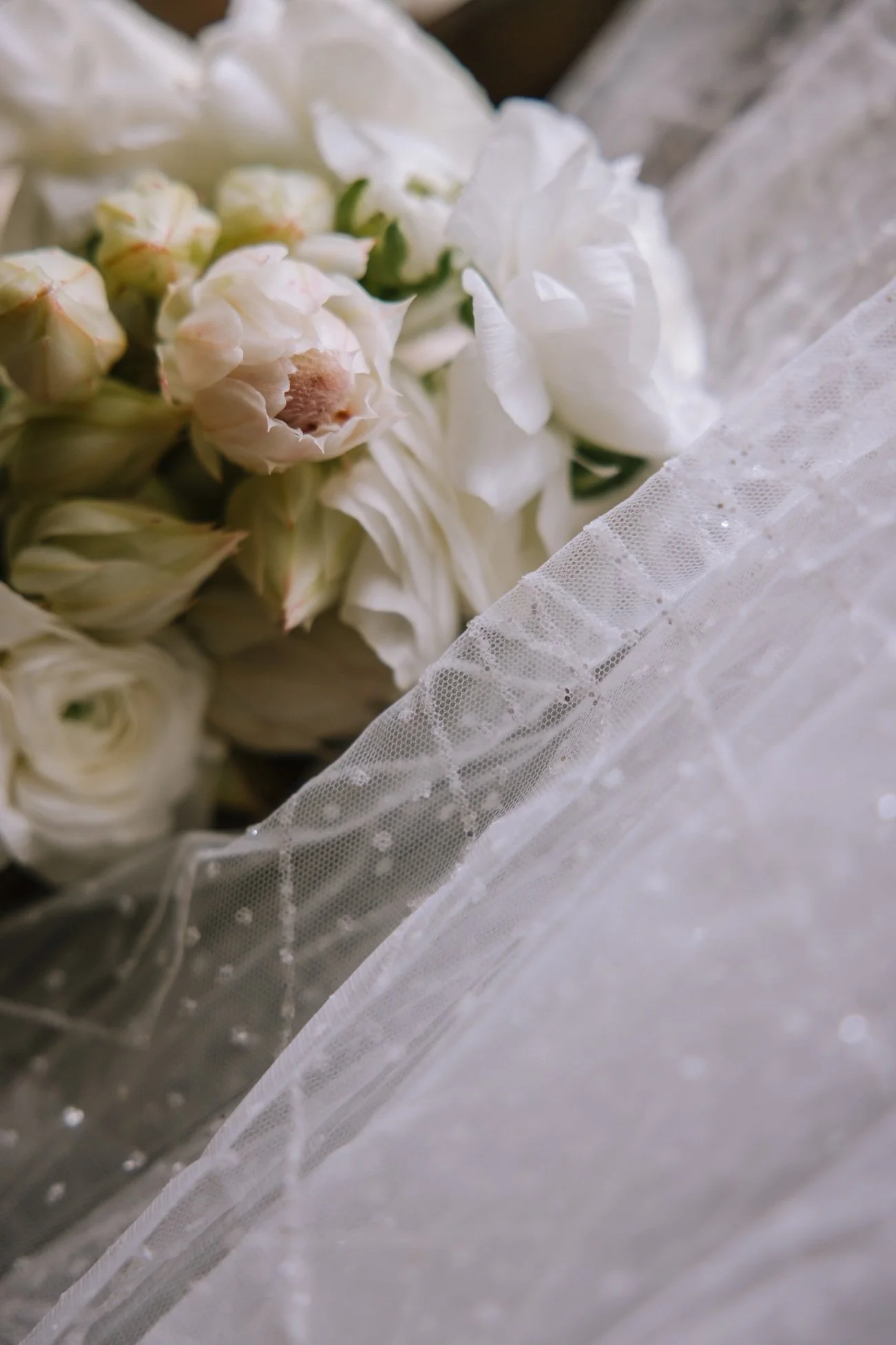 20260818_TaylaJaynePhotography_Celestial096.jpg