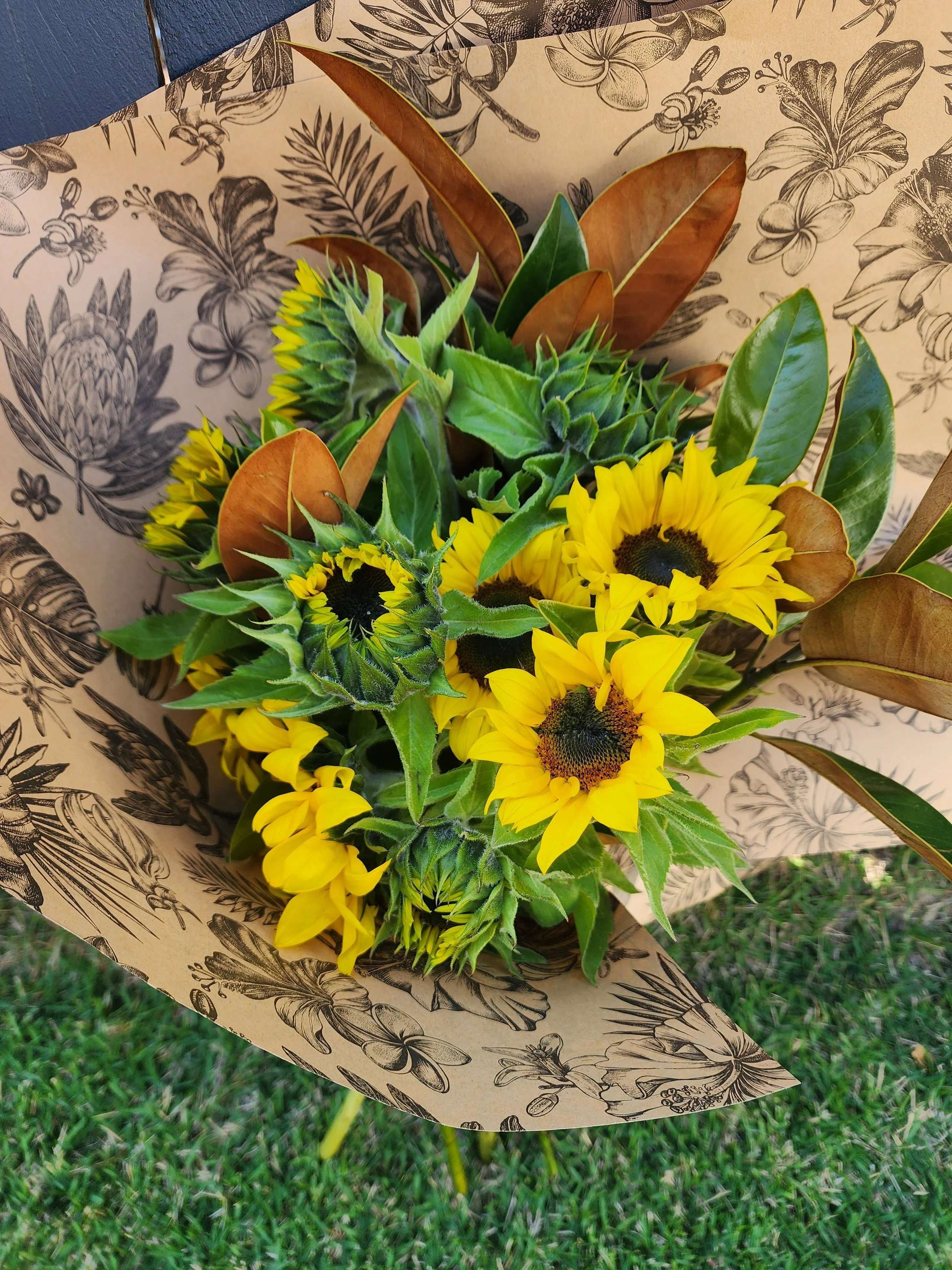Sunflowers_Brisbane.jpg