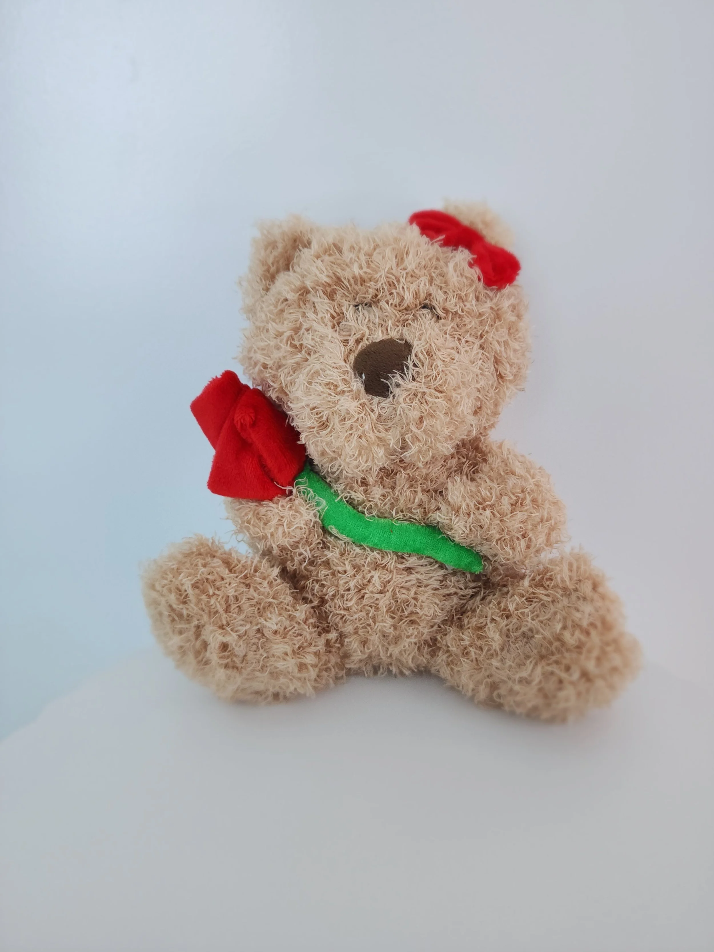 Teddy_with_Rose.jpg