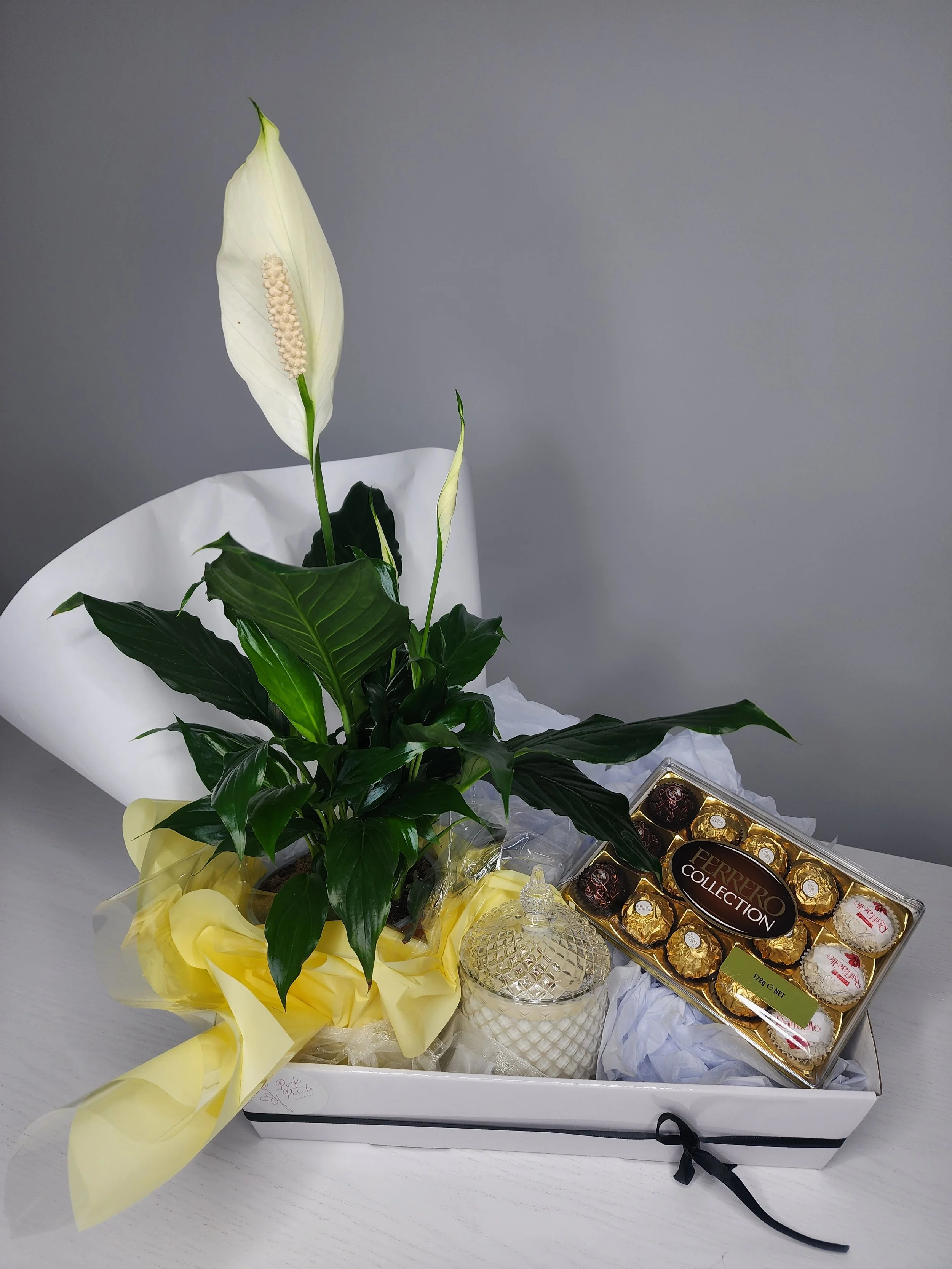 Gift_Hamper_Plant.jpg