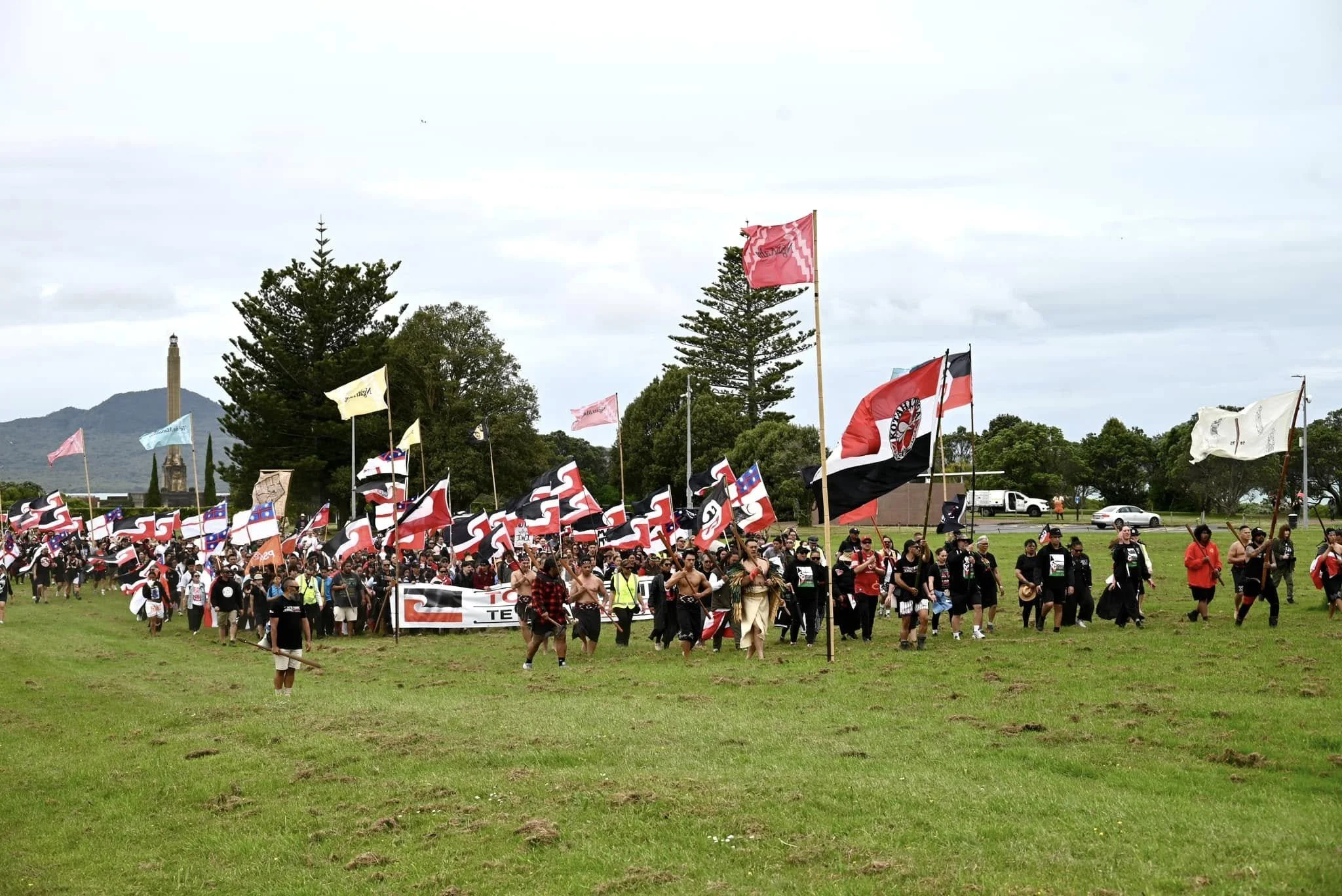 Treaty of Waitangi Principles Bill Submissions