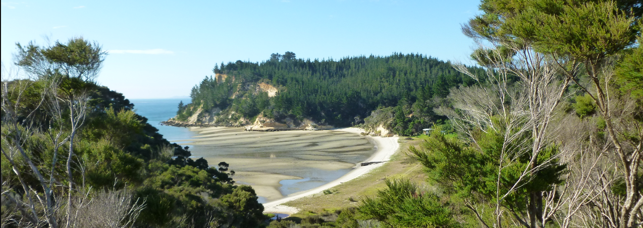 Te Rūnanga o Ngāti Whatua E-Panui