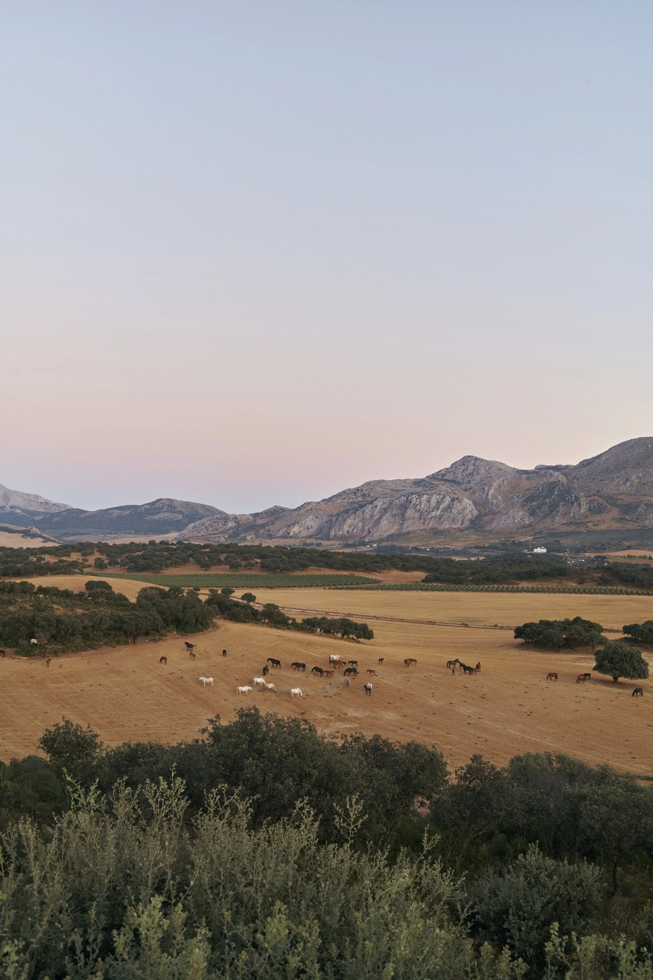 DSCF7344.jpg