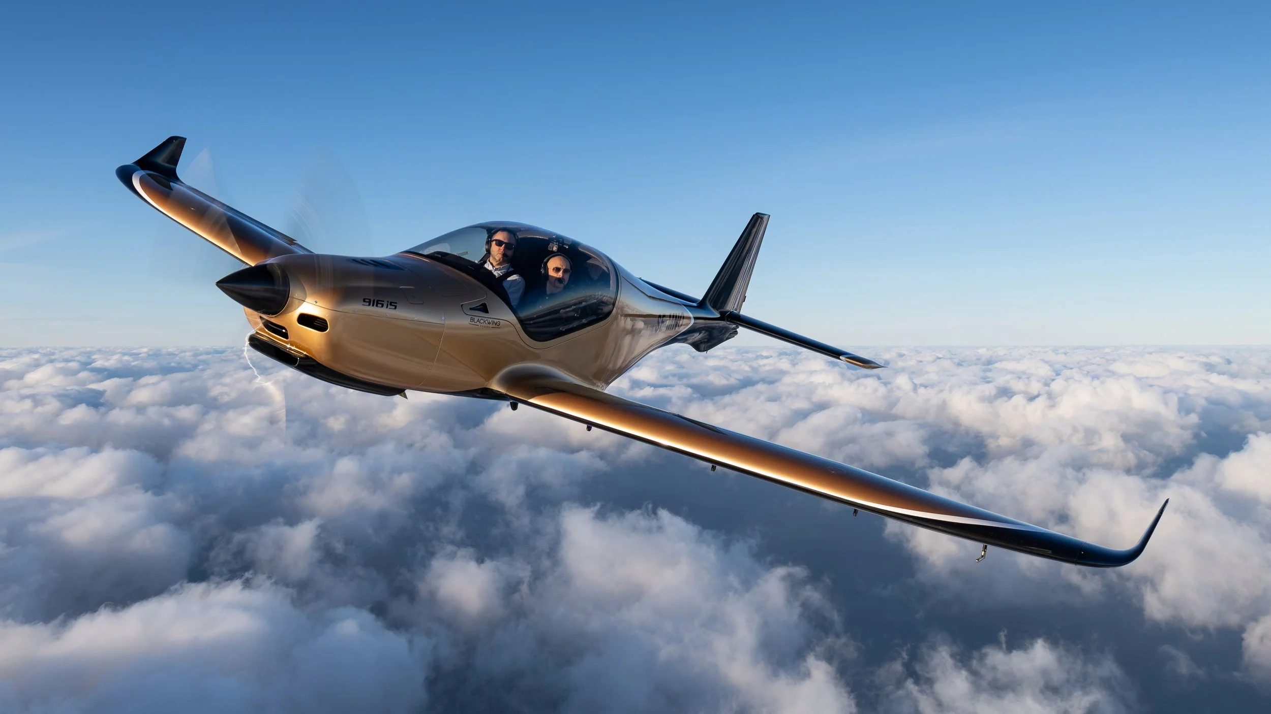 Blackwing_20260202_5073.jpg