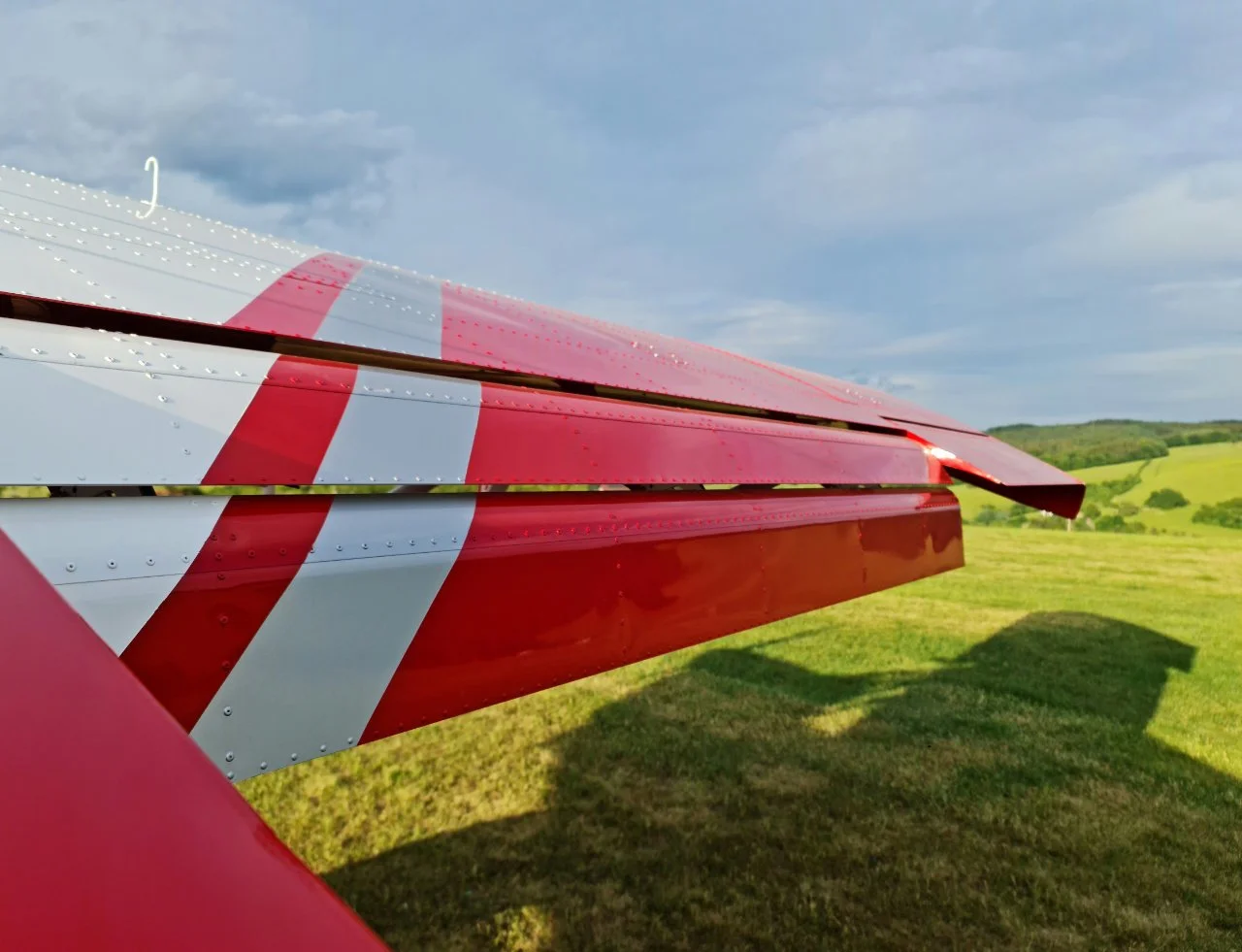 Close-up of the wing 
