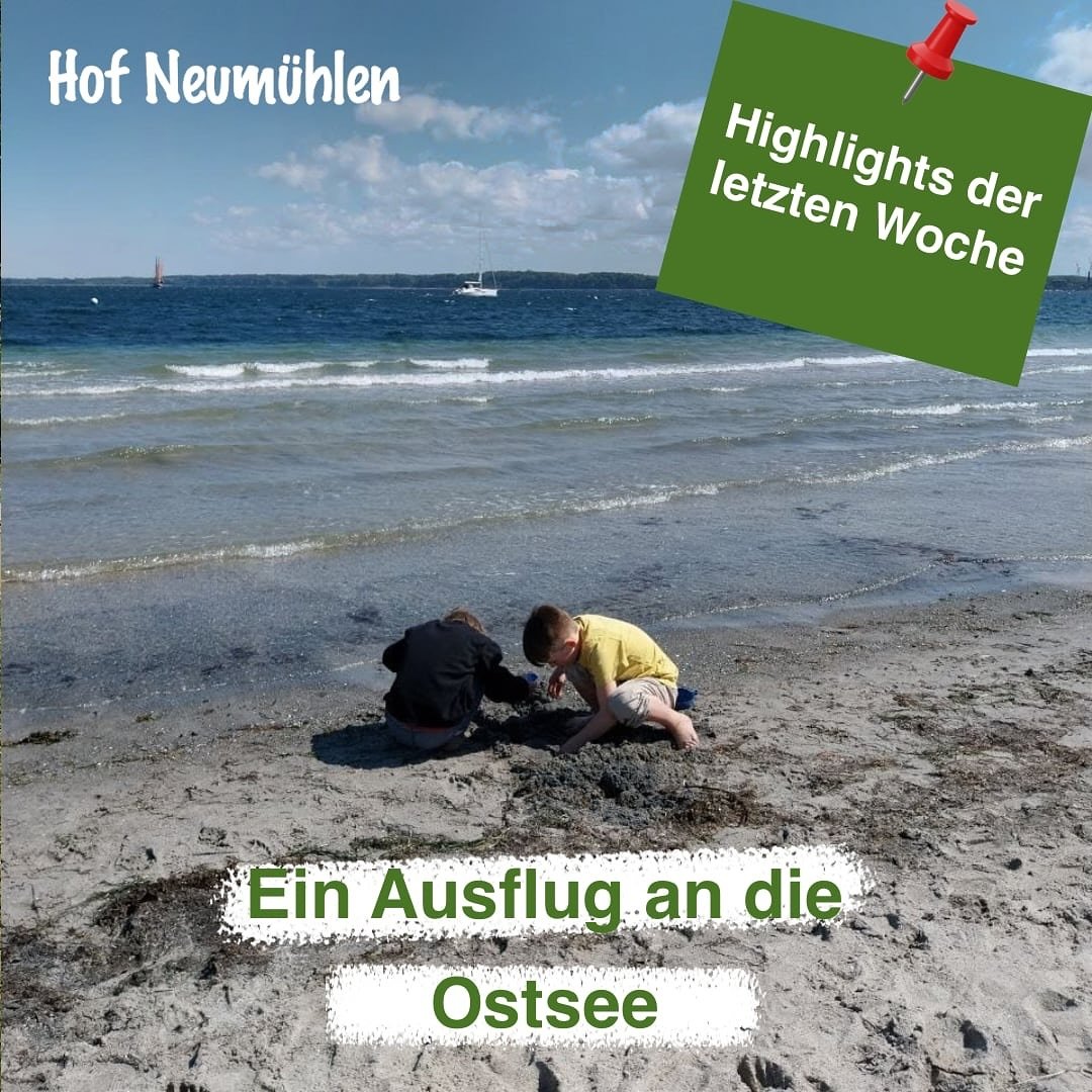 Auf dem Hof Neum&uuml;hlen wird es nie langweilig. Die Highlights der letzten Woche siehst du auf den Bildern: 🌊🥳🦒🧸
&nbsp;

#hofneum&uuml;hlen #therapeutischewohngruppe #wohngruppe #betreuung #betreuteswohnen #therapie #integration #kinderschutz 
