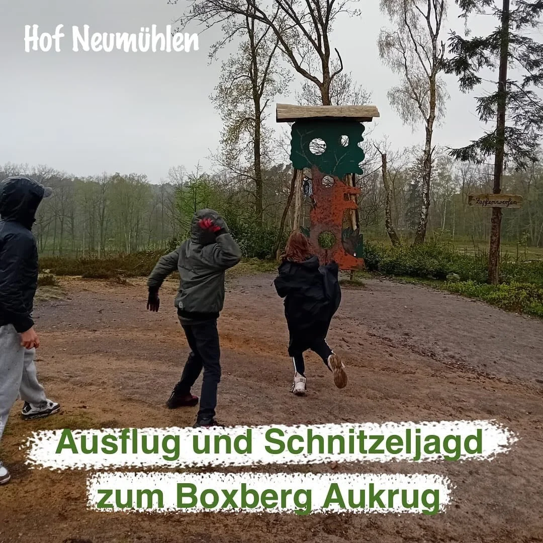 Die Kinder und Jugendlichen vom Hof Neum&uuml;hlen haben gemeinsam einen wohngruppen&uuml;bergreifenden Ausflug zum Boxberg Aukrug unternommen! 🚀 Mit einer spannenden Schnitzeljagd haben sie den Tag mit viel Spa&szlig; und Entdeckungen verbracht. Es