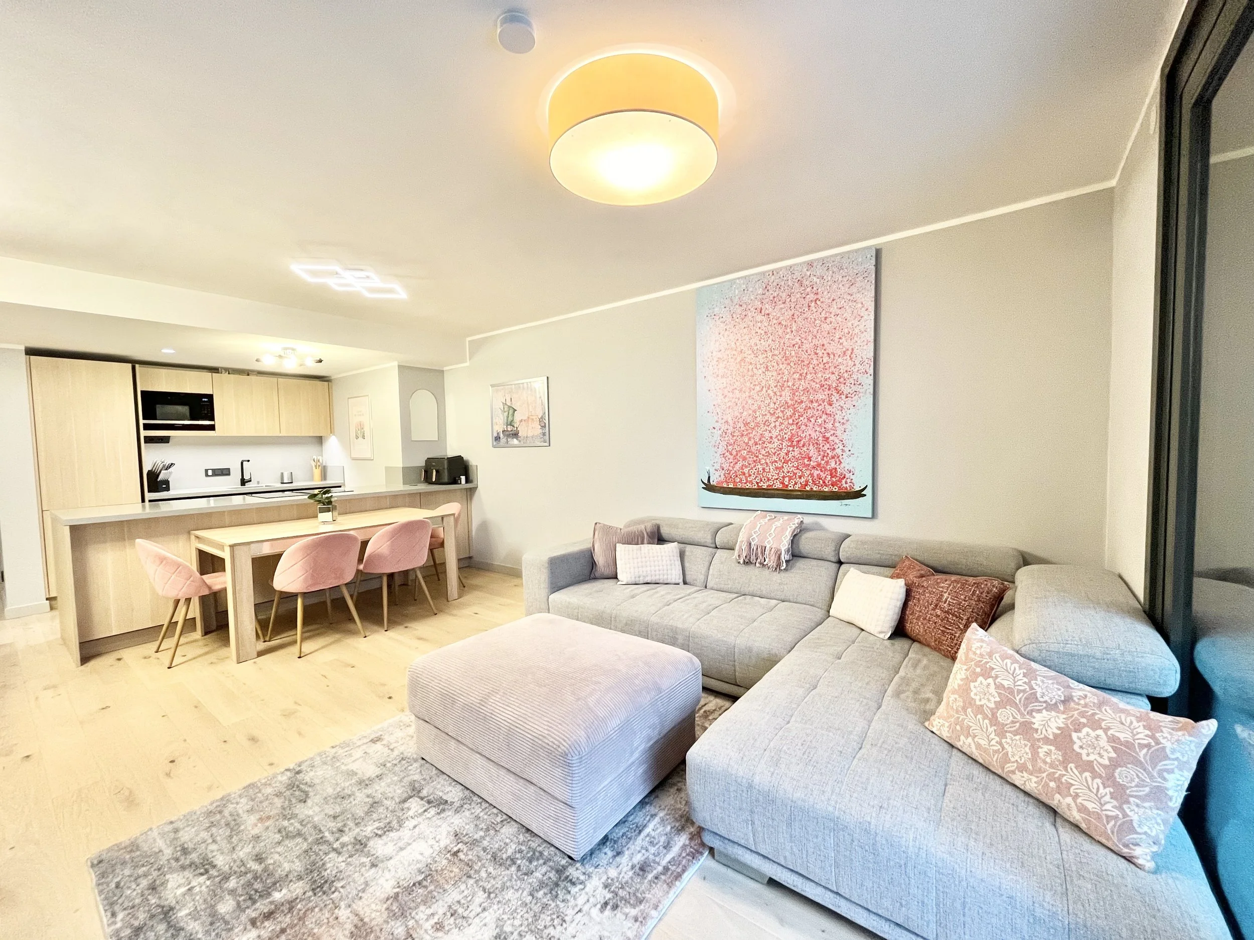 Living Room and Kitchen 2.jpeg