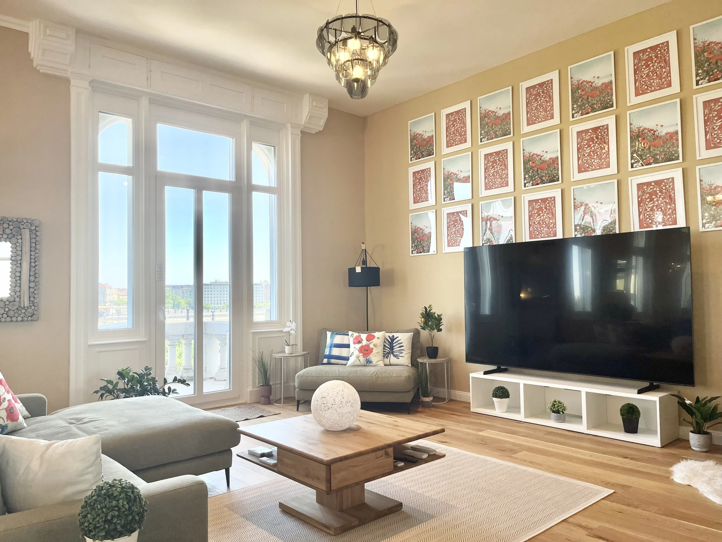 Living Room with TV