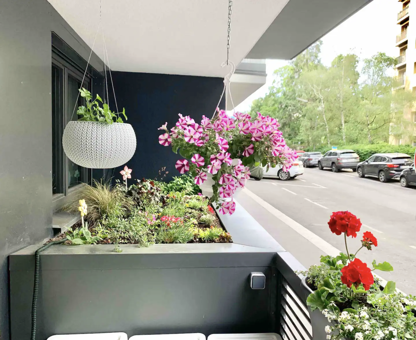 Front Area with Flowers.png