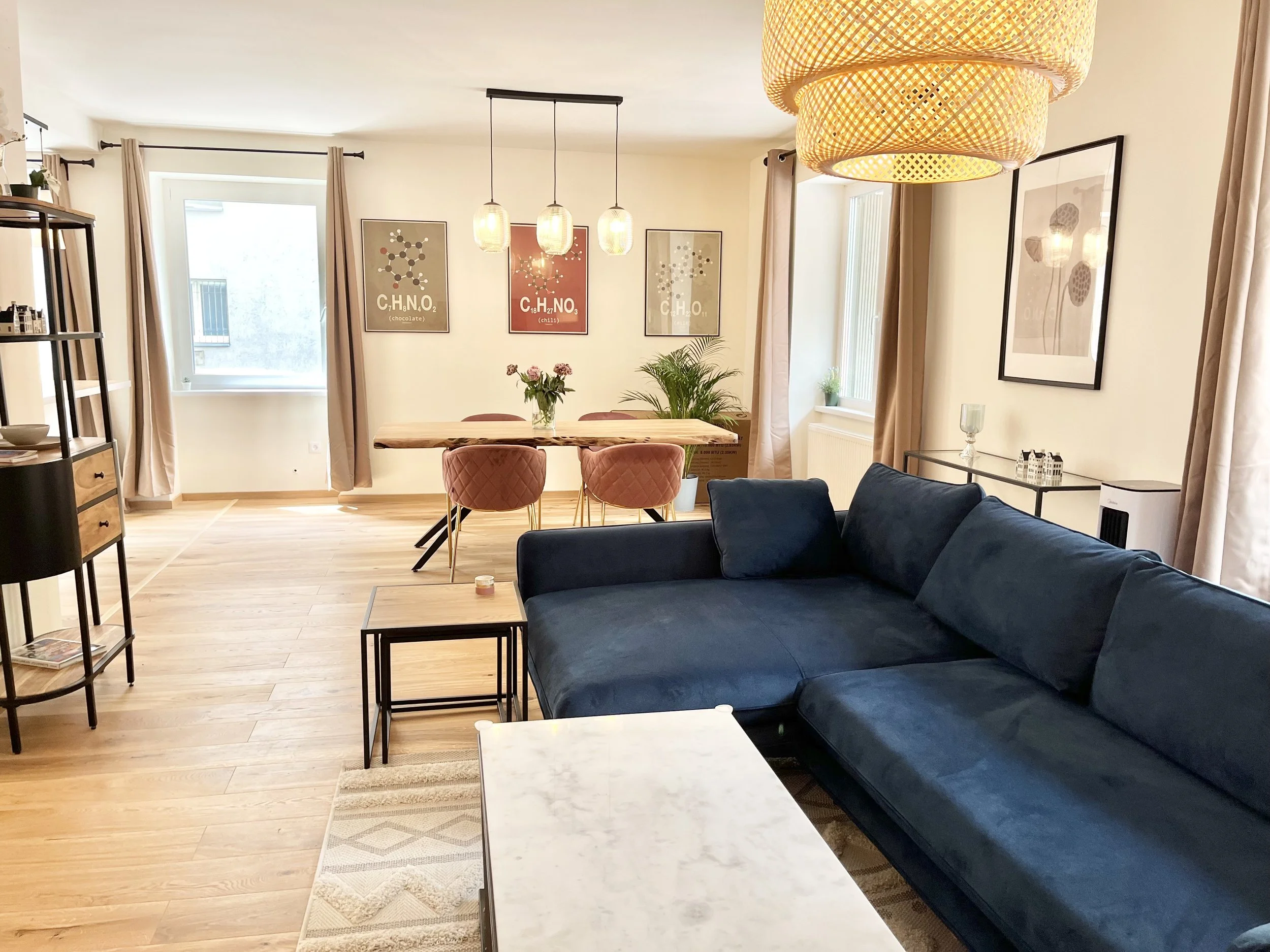 Living Room and Dining Room 3.jpeg