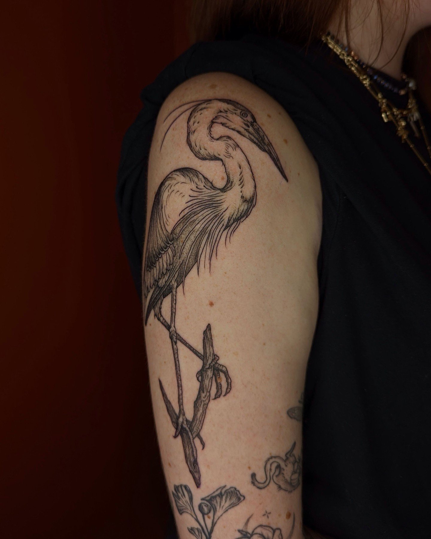Heron from a while back for Zo&euml;!

I really took Zo&euml;&rsquo;s generous free reign for a spin with this one, because when she arrived for her appointment none of the three options I had for her looked anything like the reference images she sen