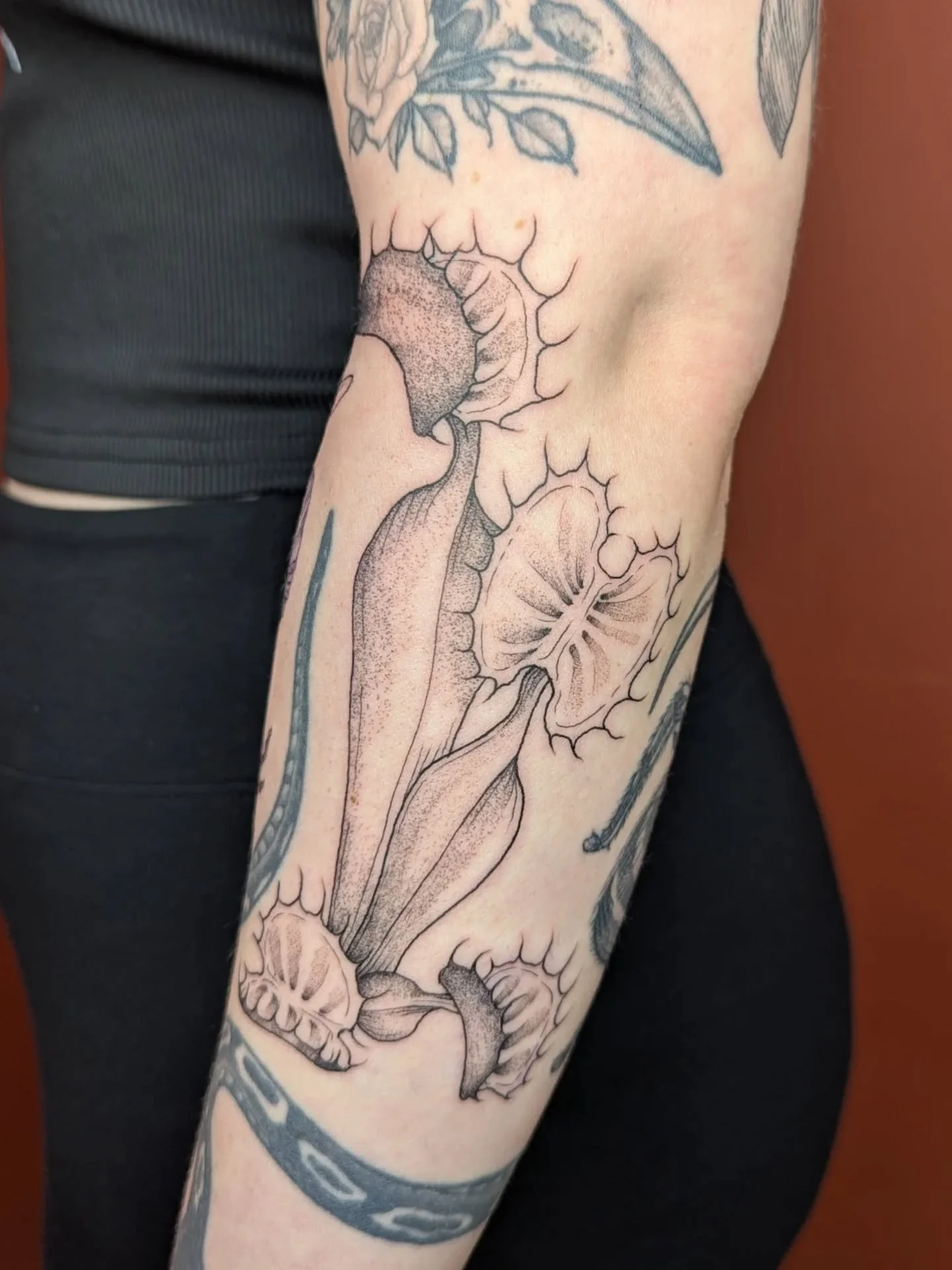 swipe for the freehand!!! 🪰🪰🪰 Thank you sooooo much @xkirax02 as always for this delight 🫶🫶

This venus flytrap was a gap filler as part of a day session filling in a tonne of gaps, where Kira gave me a few vibes- goth-ish, forest witchy, weird 