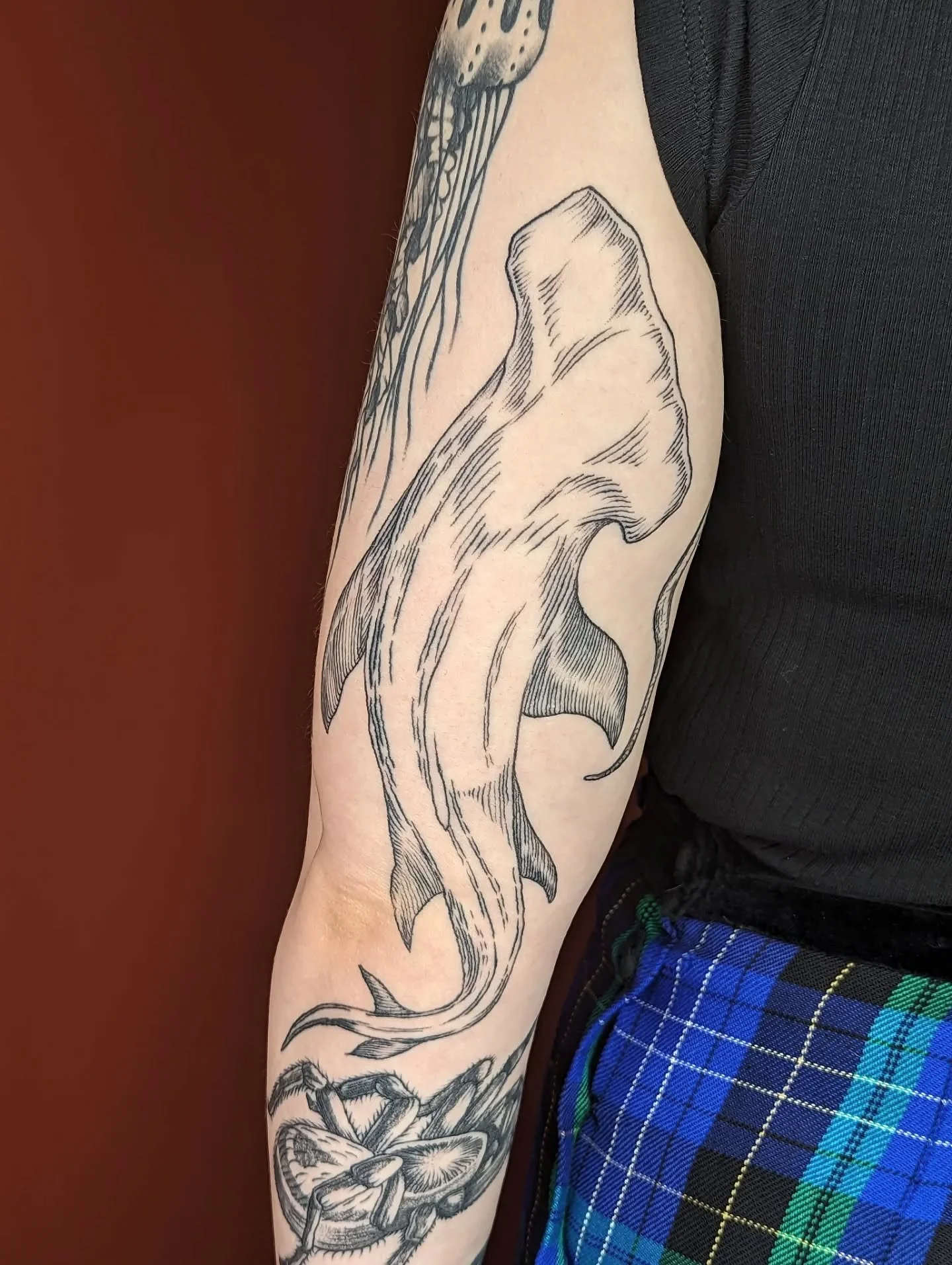 hi just thinking about this etched hammerhead I did a lil while back 🩶🫶🦈 Here he is about a month healed x

I was sooo excited for the challenge of creating movement and shape with etched lines on a subject that is largely smooth (ie has few to no