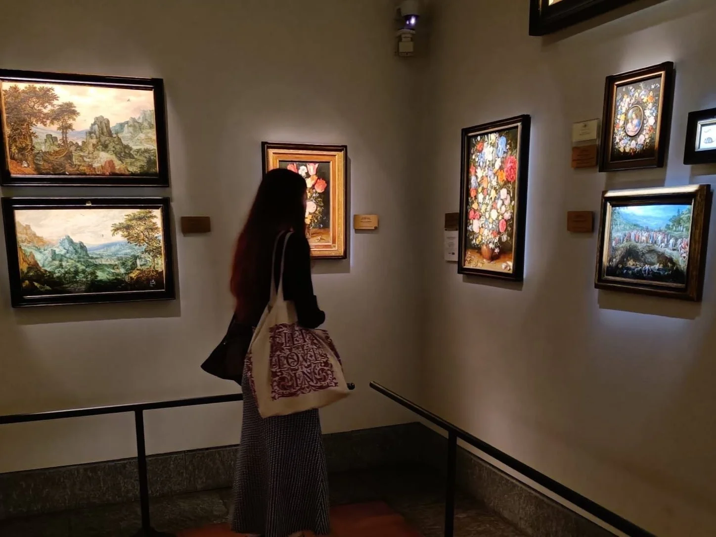 Me in a museum looking at paintings by Breughel.
