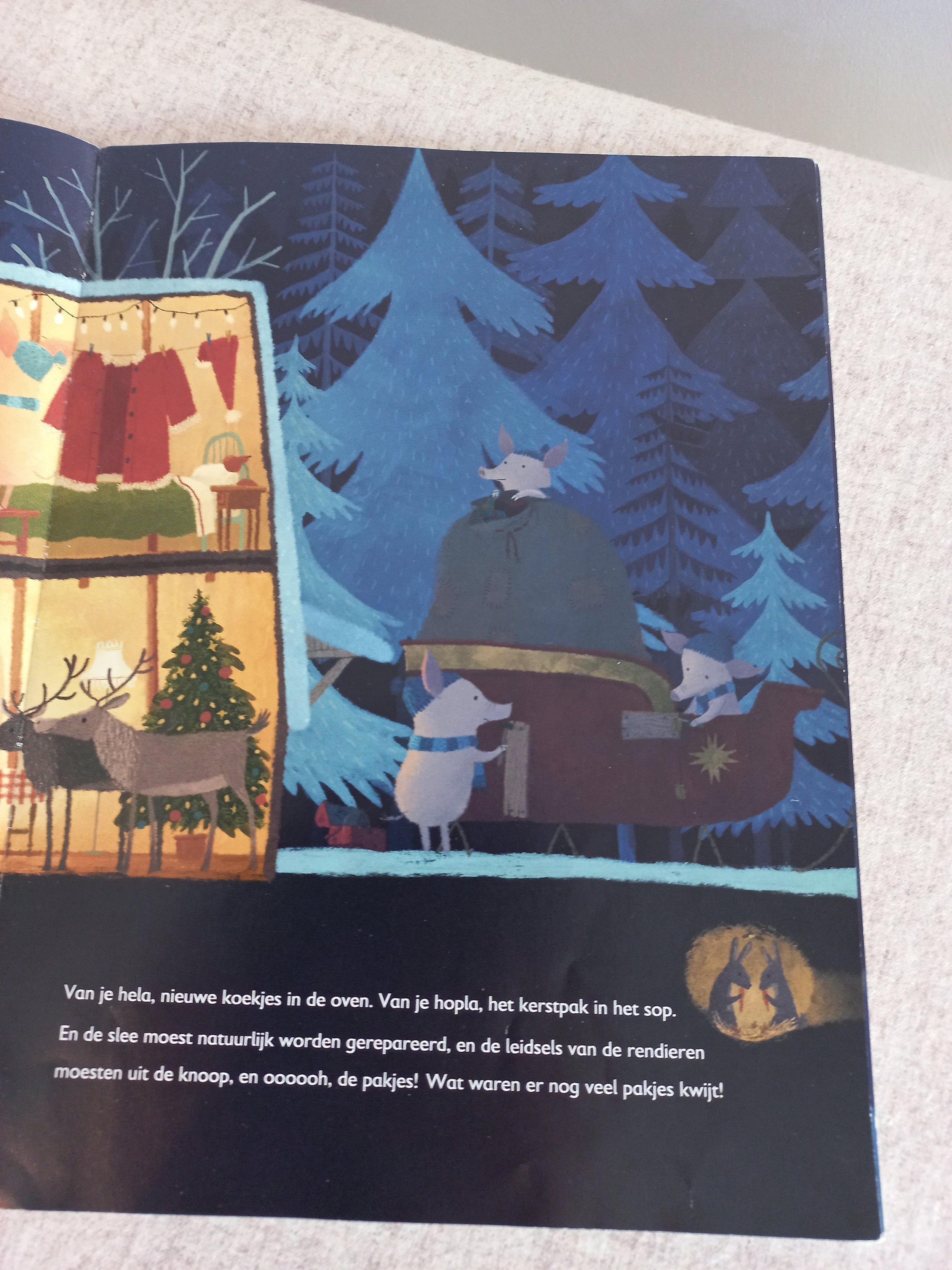 Boekrecensie Boelies kerstplan van Mathilde Stein - prentenboek met kleine details in de illustraties.jpg