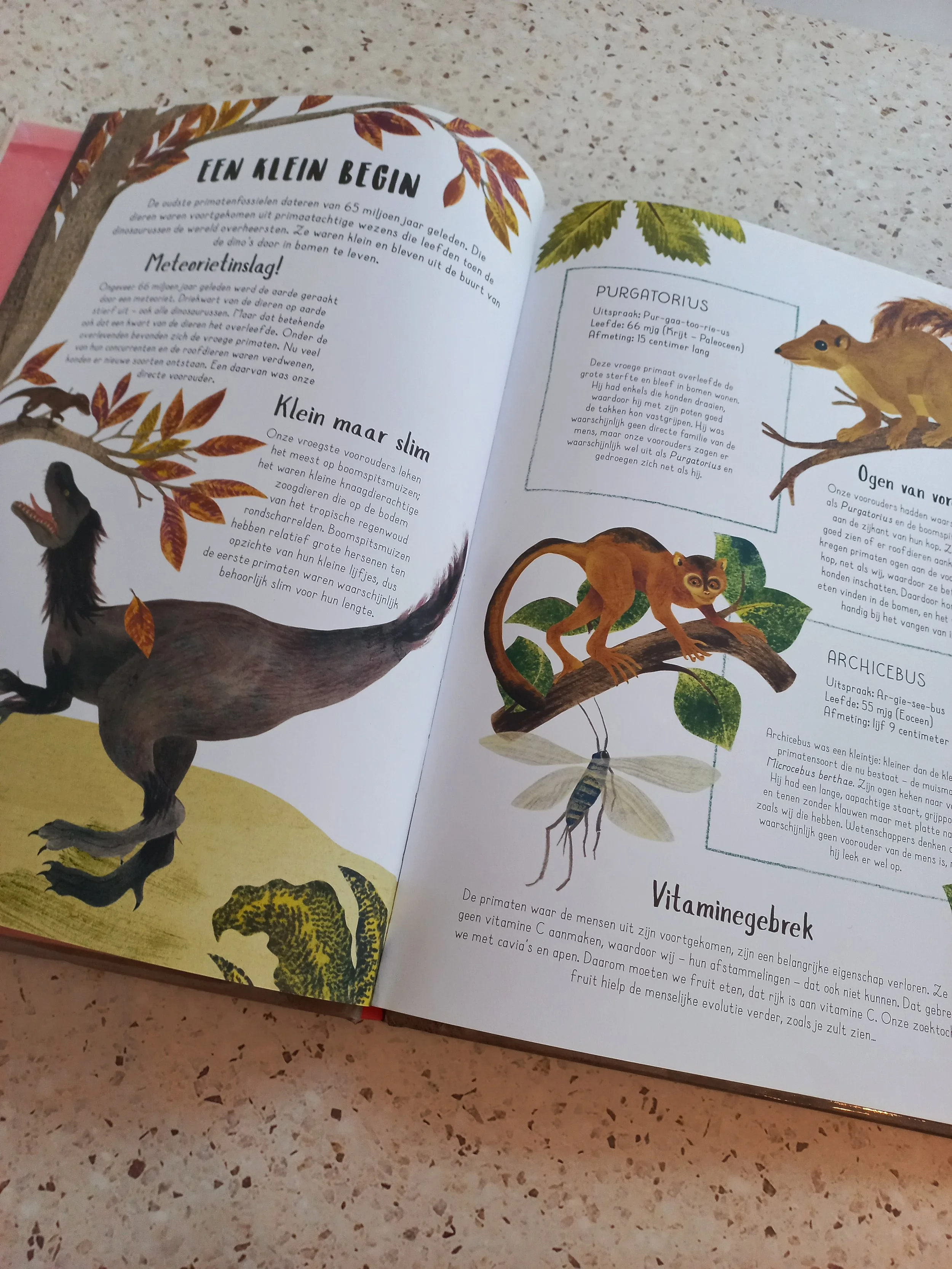 Zo werden we mensen, onze ongelofelijke evolutie - boek voor kinderen over de evolutie van de mens - het begin.jpg
