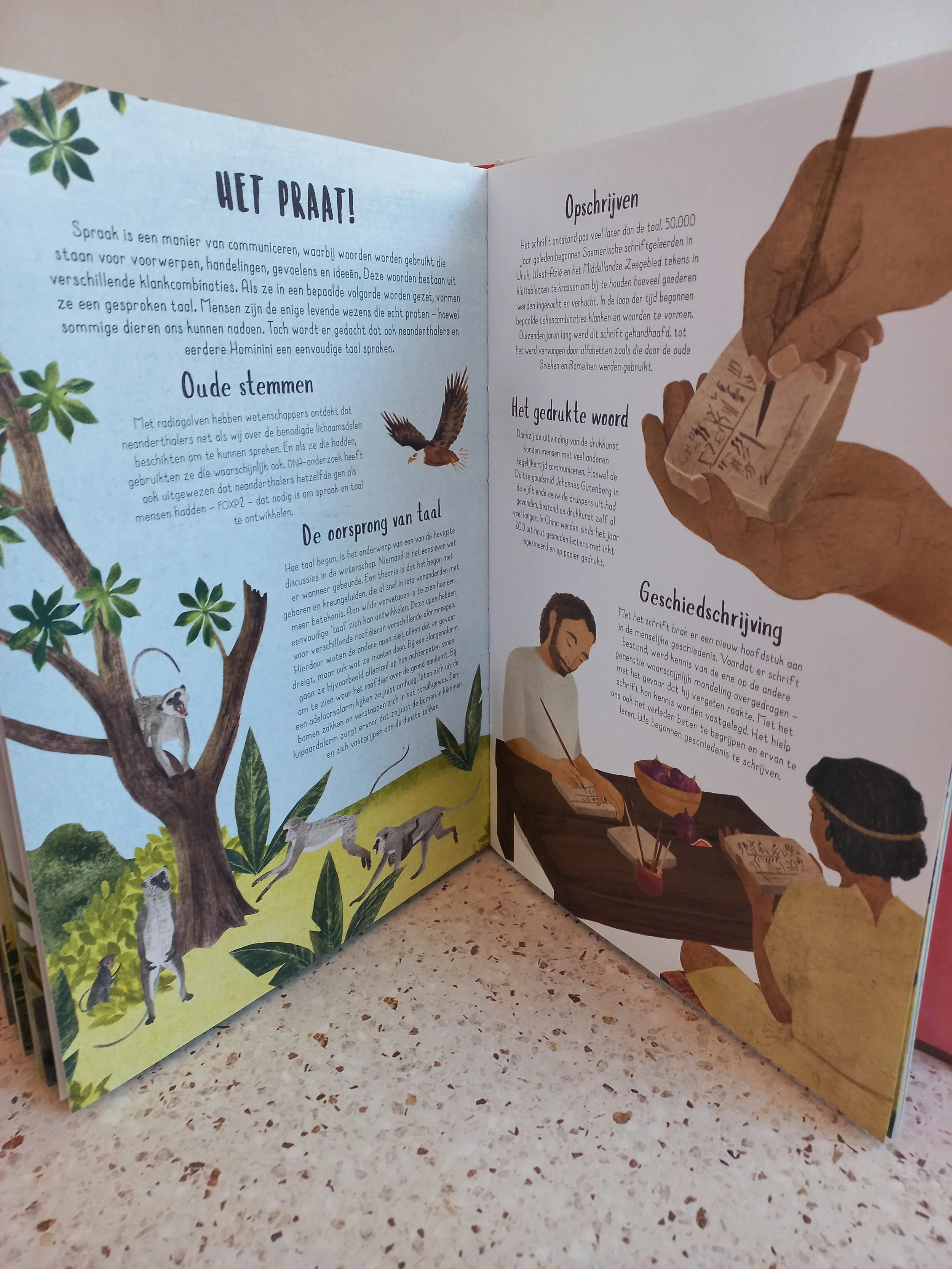 Zo werden we mensen, onze ongelofelijke evolutie - boek voor kinderen over de evolutie van de mens - taal.jpg