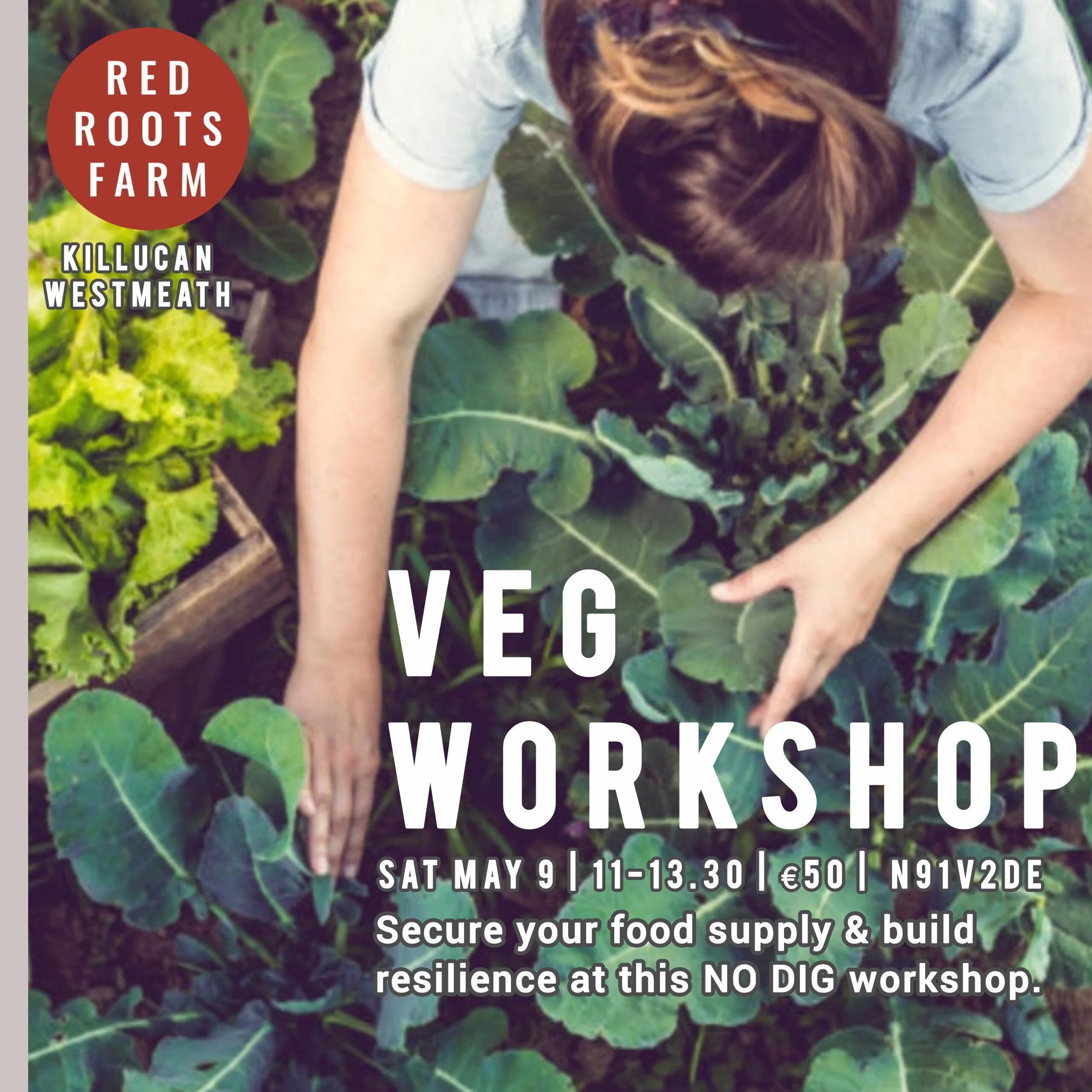 Red Roots Veg growing workshop